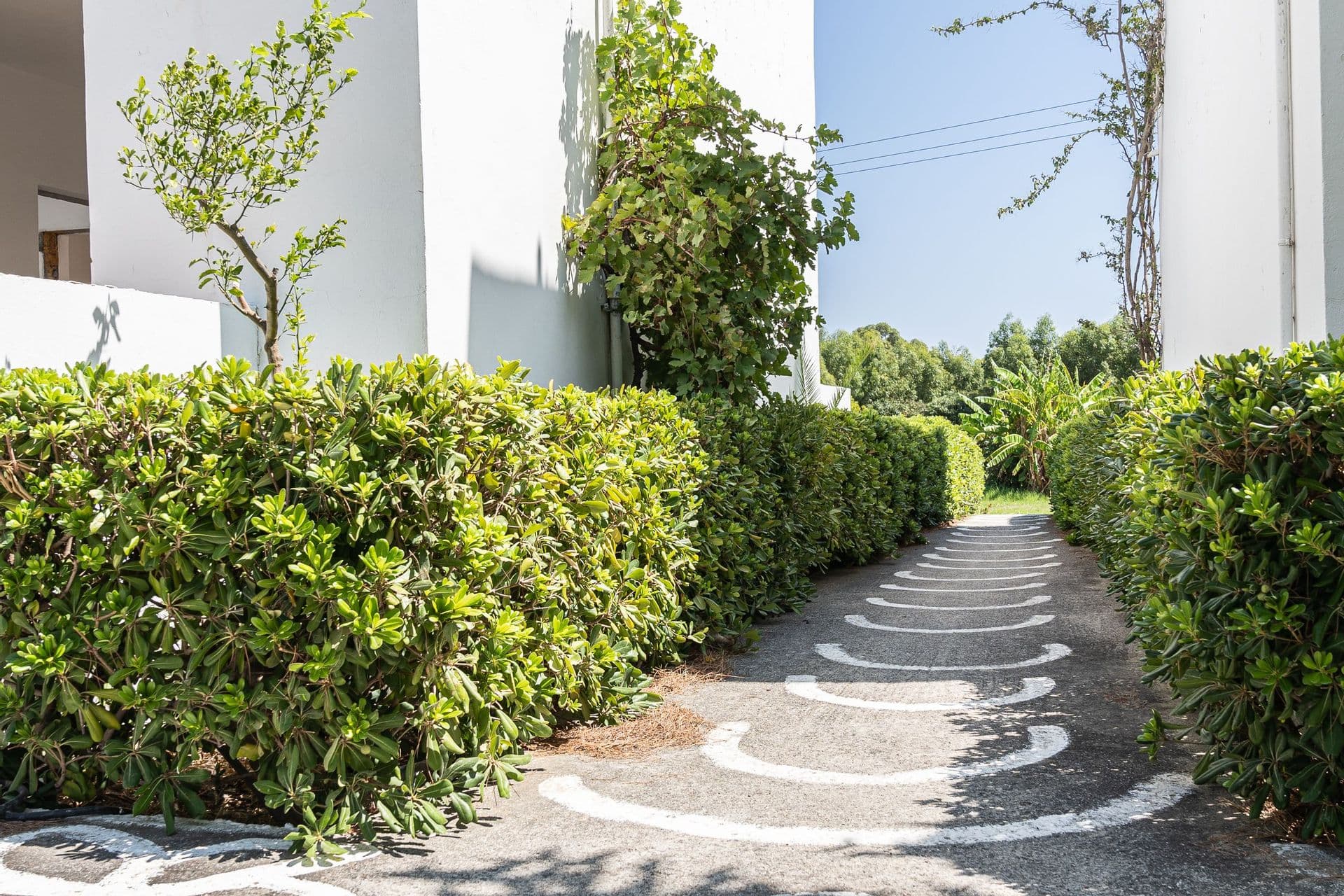 Lush Gardens