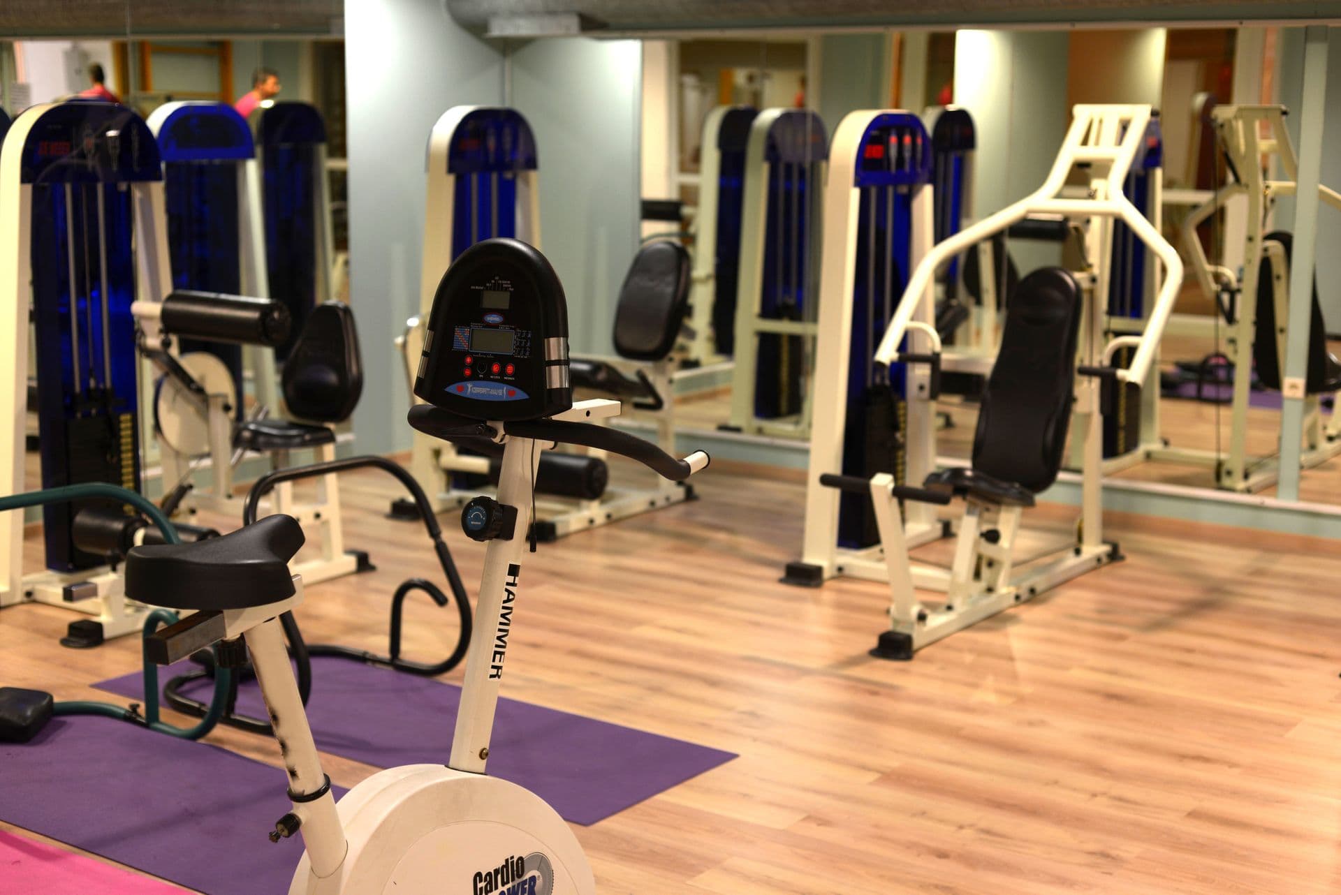 The Aegean Houses Gym Center features a fully equipped gymnasium with modern fitness gear, introducing a great place for your daily warm-up and workout.