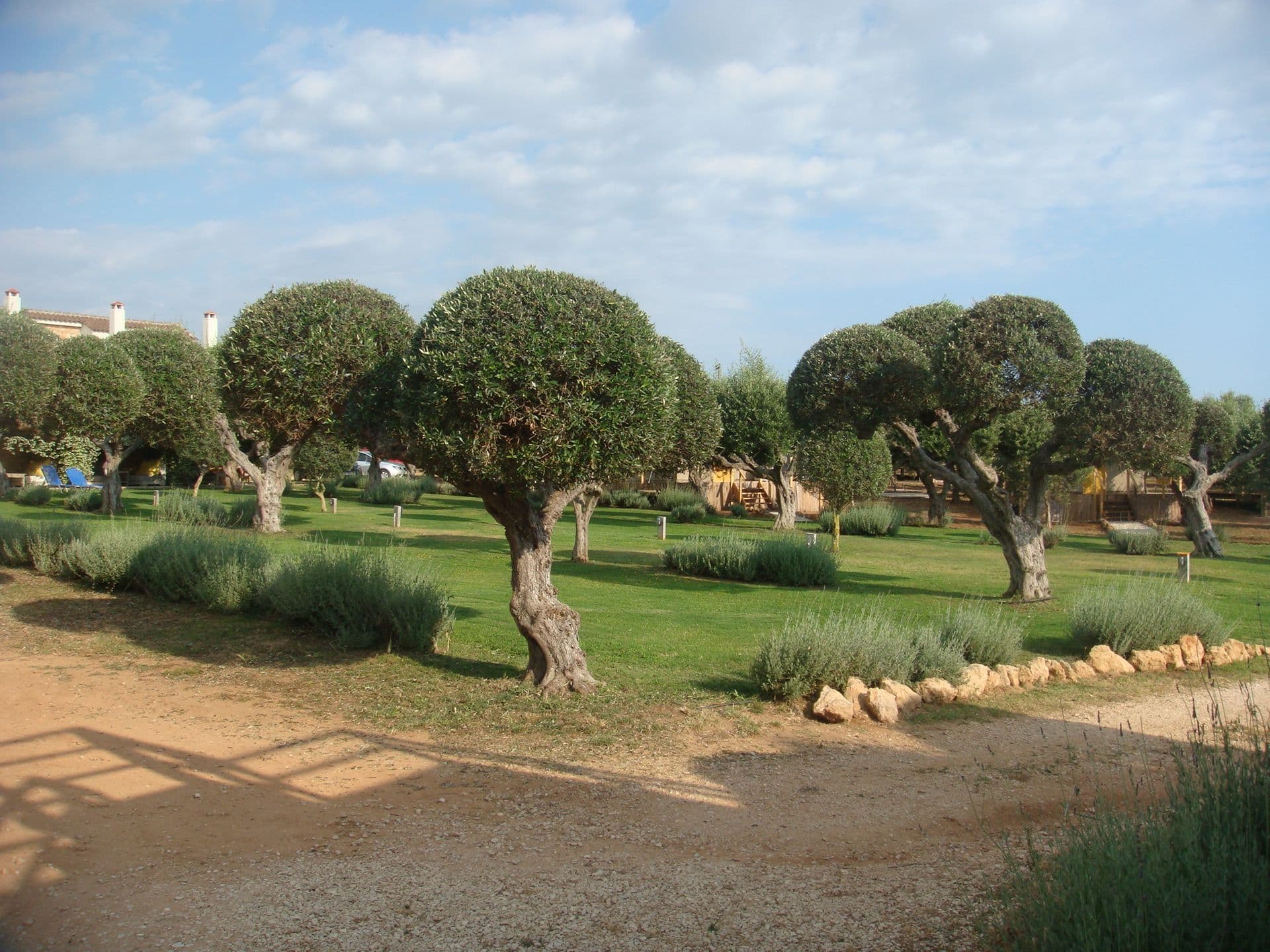 properties-AGRIKIES-0.jpg