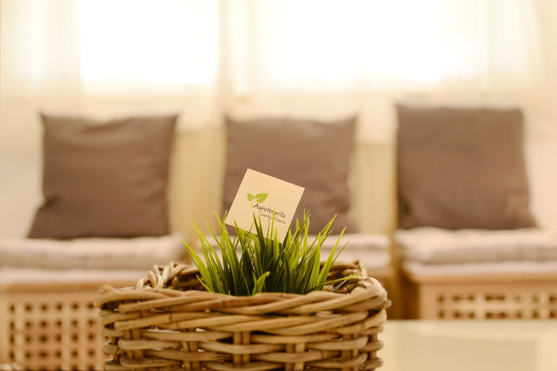 properties-AGROTOSPI-4.jpg
