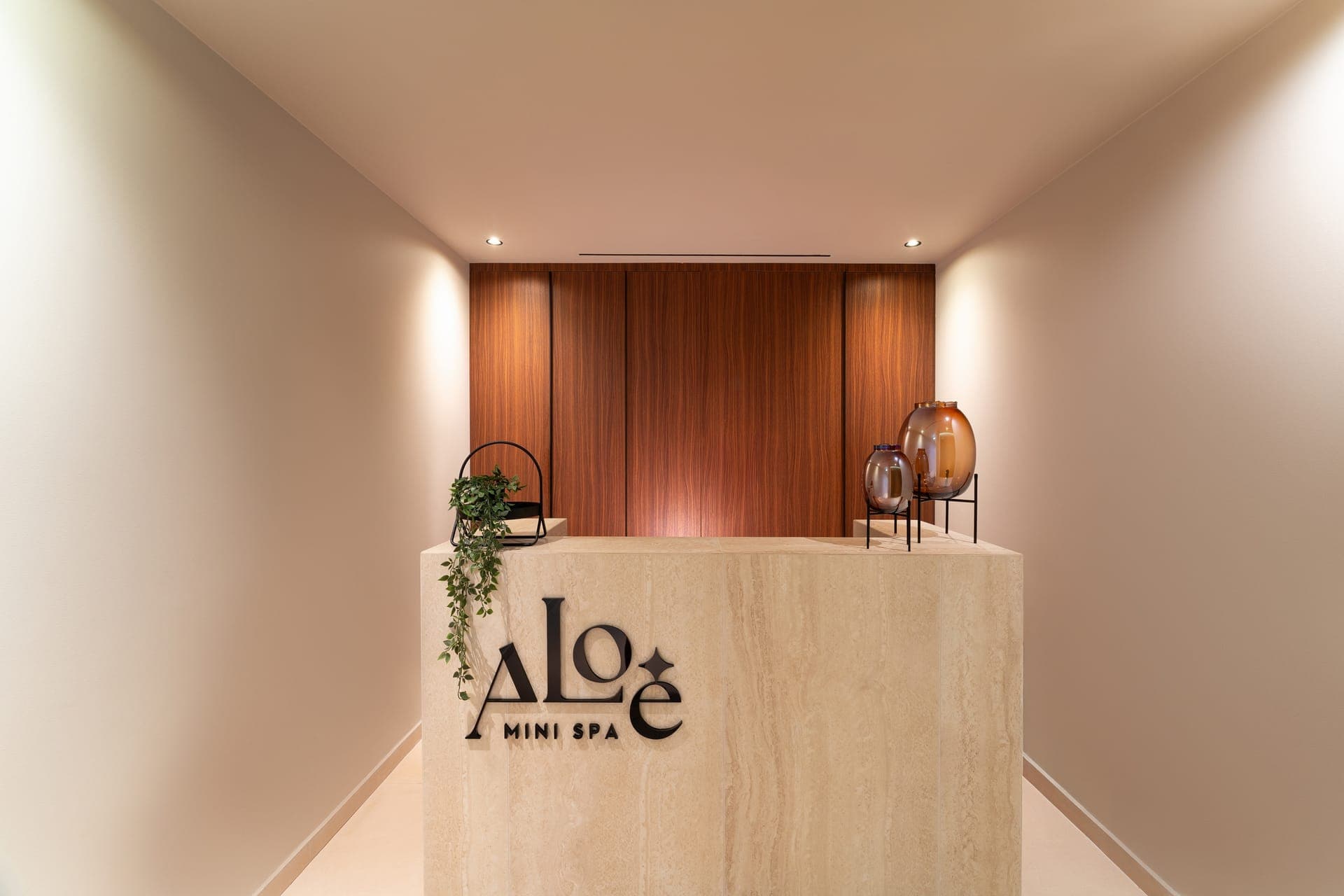 properties-ALIZO-4.jpg