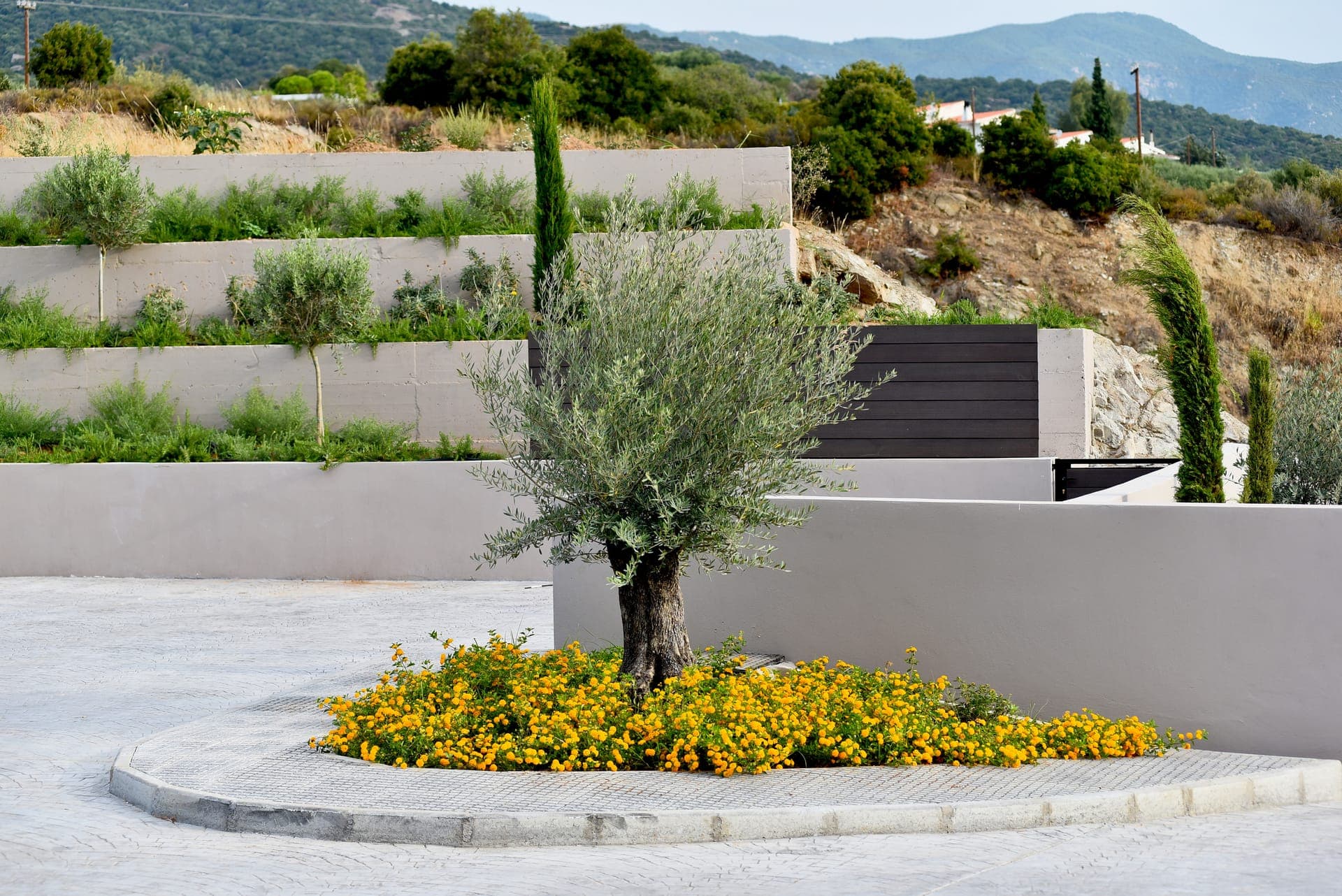 Anasa Luxury Resort, Kavala