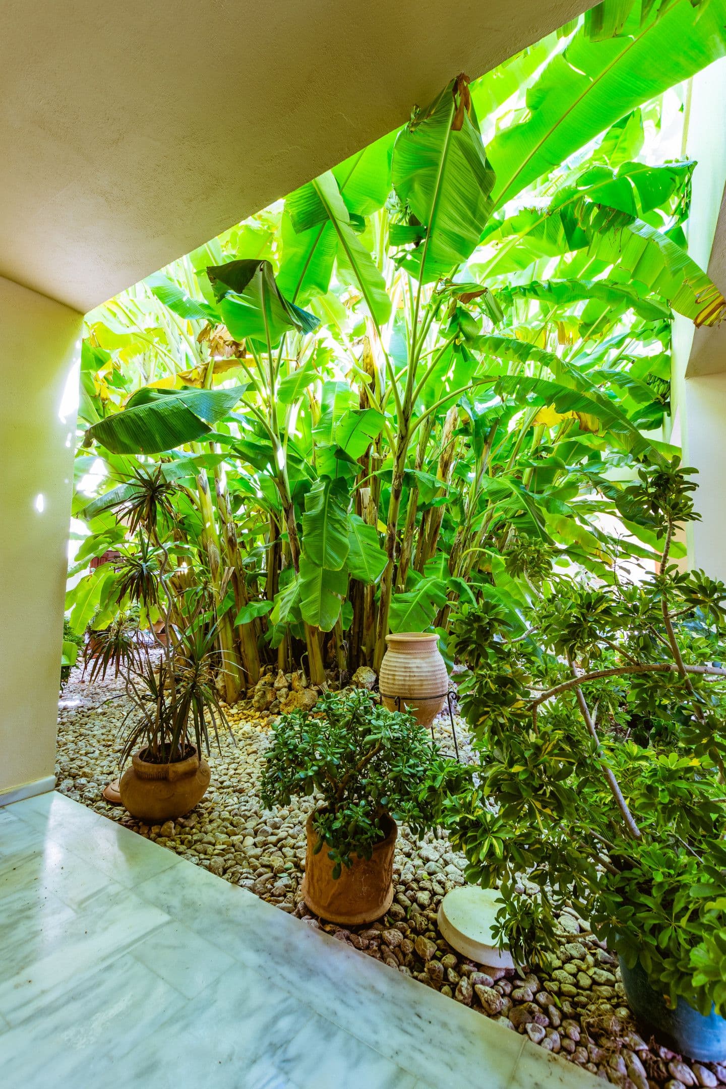 properties-ANAISSS-2.jpg