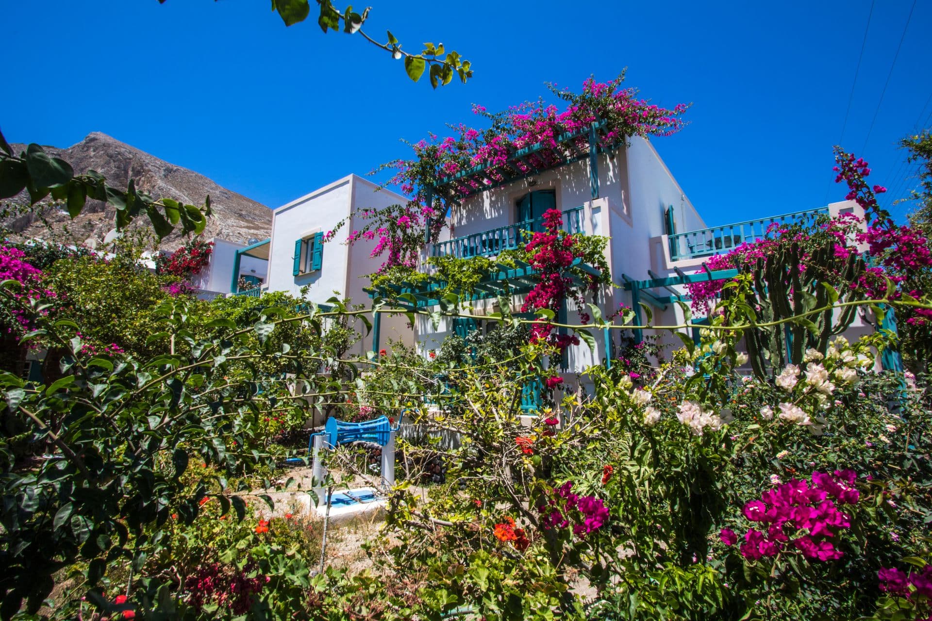 properties-ANDREAS-4.jpg