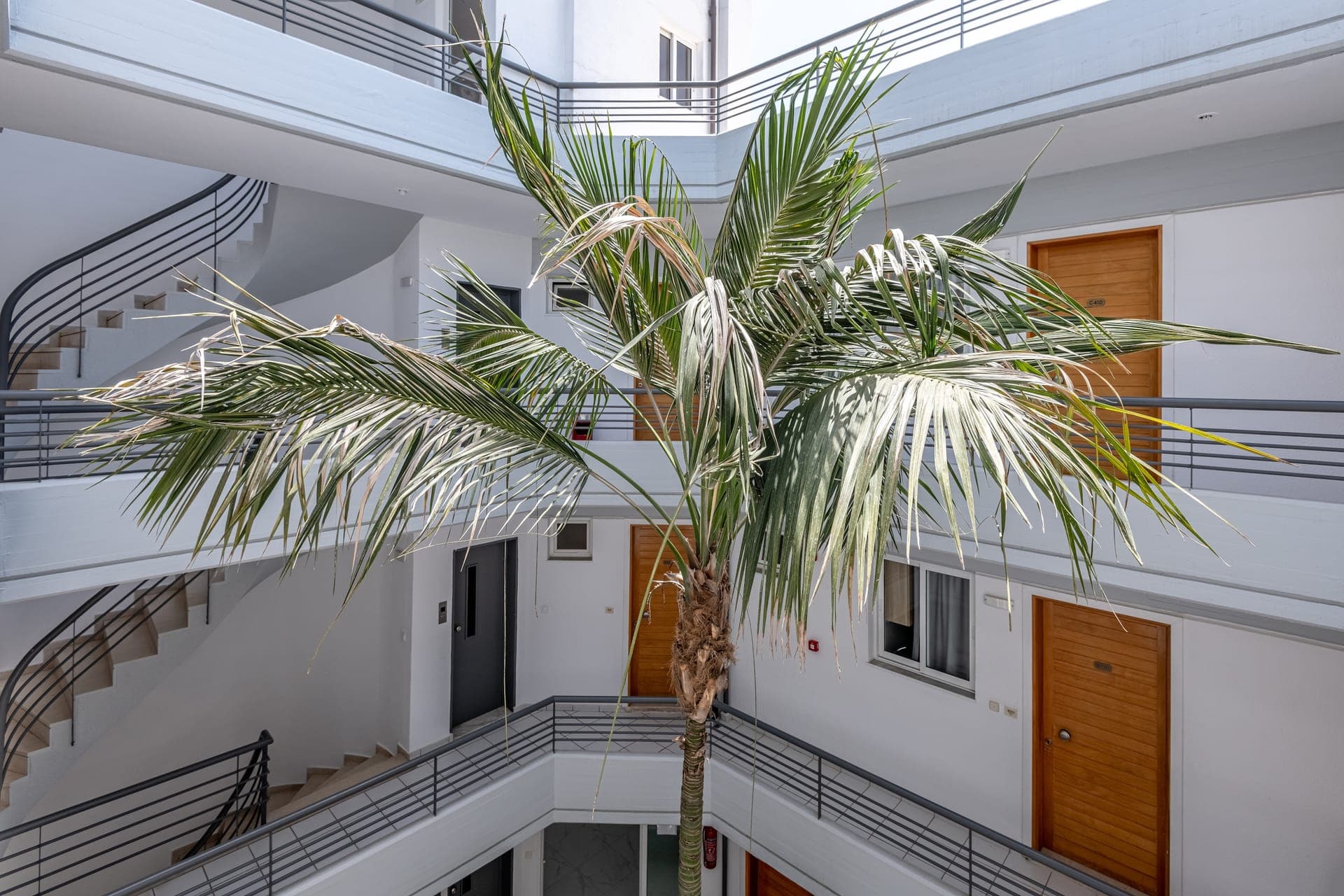 properties-ANGELAK-3.jpg