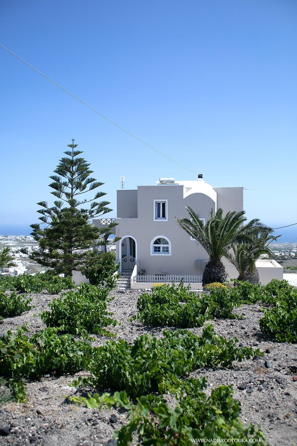 properties-ANNAFANI-0.jpg
