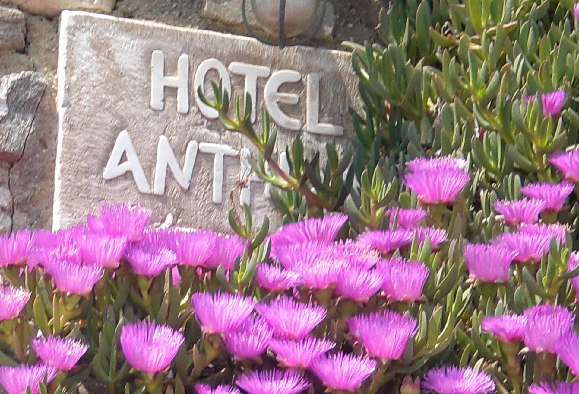 properties-ANTHIPPI-1.jpg