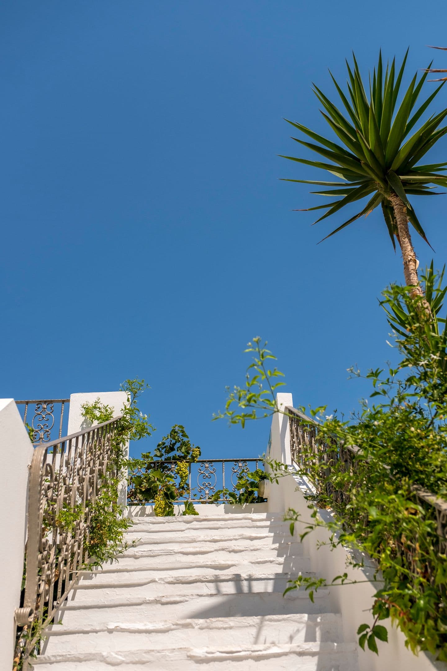 properties-ARISHOTELP-4.jpg