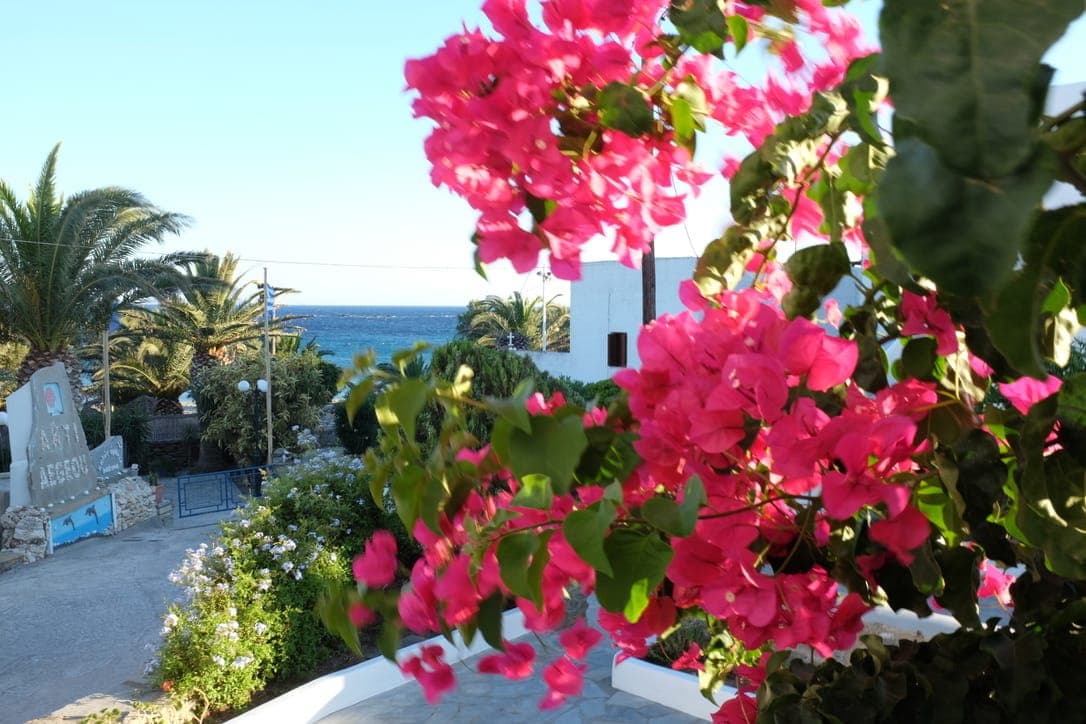 properties-ARKTINOS-2.jpg