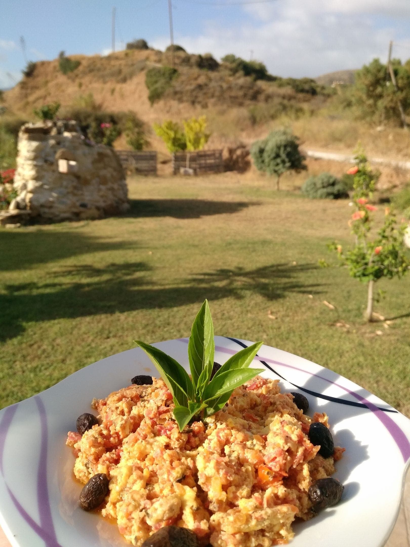Breakfast, garden views.
