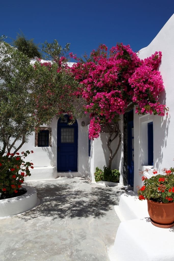 properties-ARTEMIOS-0.jpg