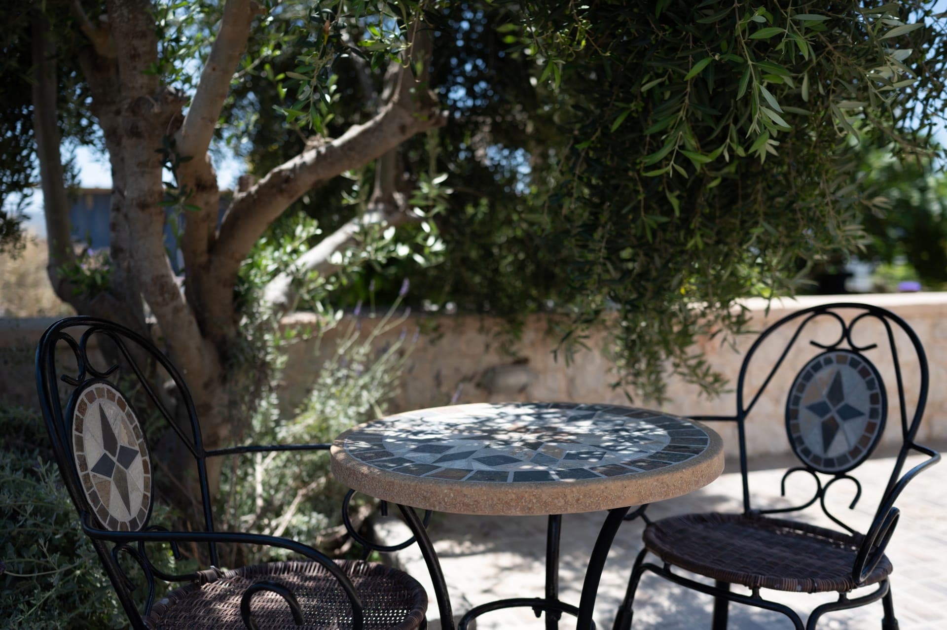 properties-ASIMENIS-4.jpg
