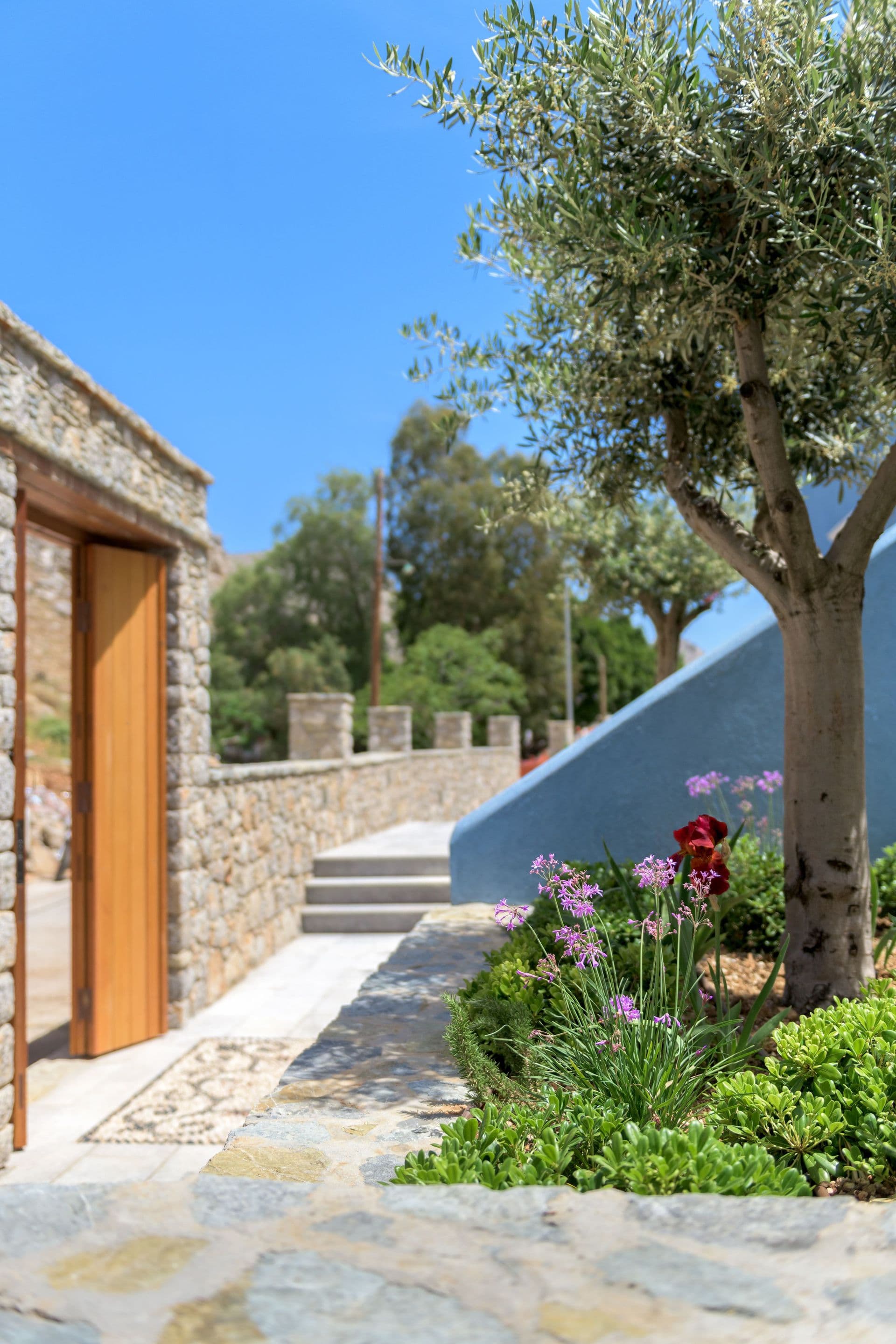 properties-ASYMI-1.jpg