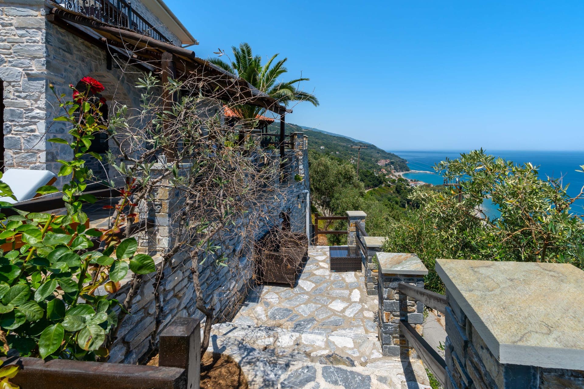 properties-BARBARELLA-0.jpg