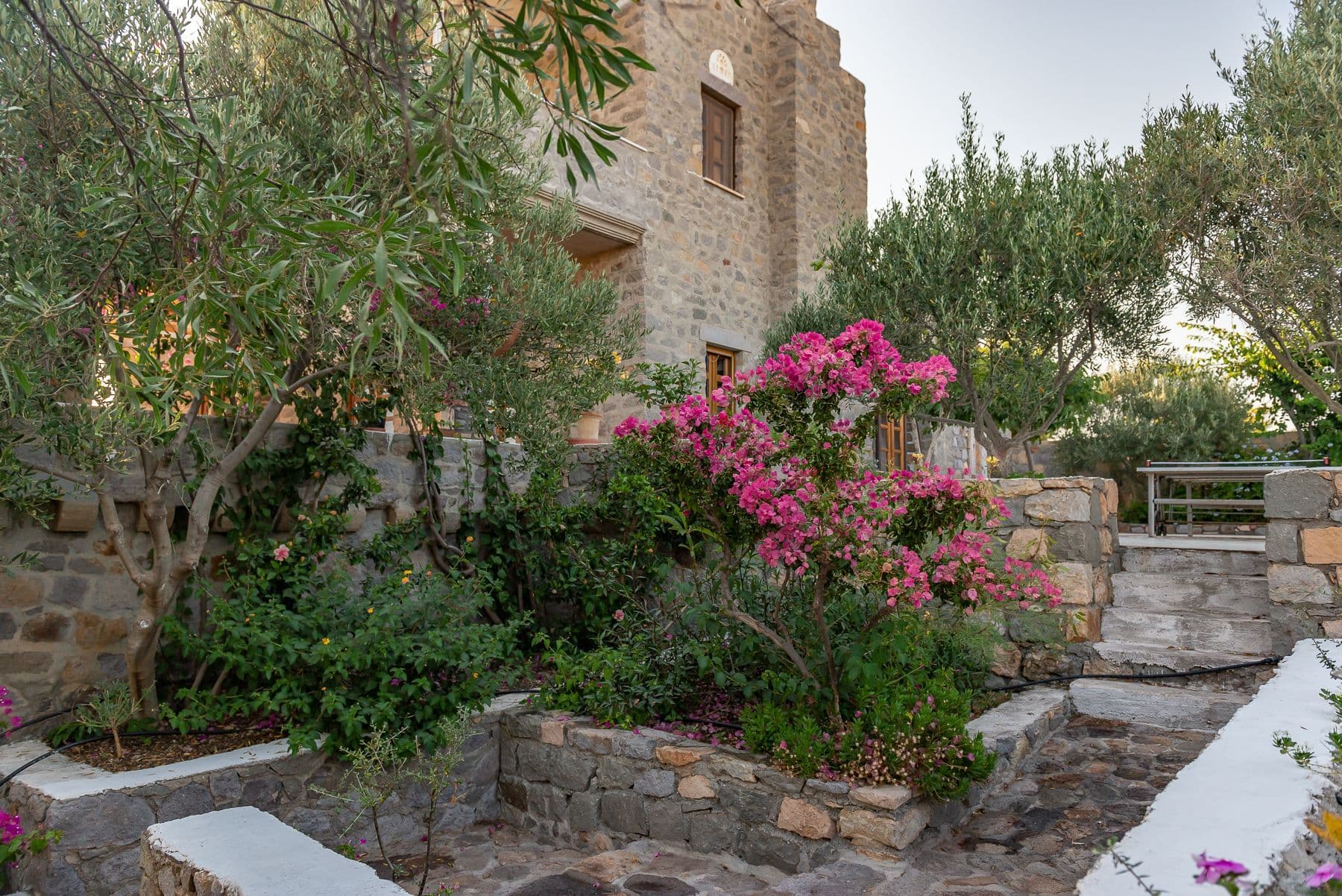 properties-BLUEVISTA-0.jpg