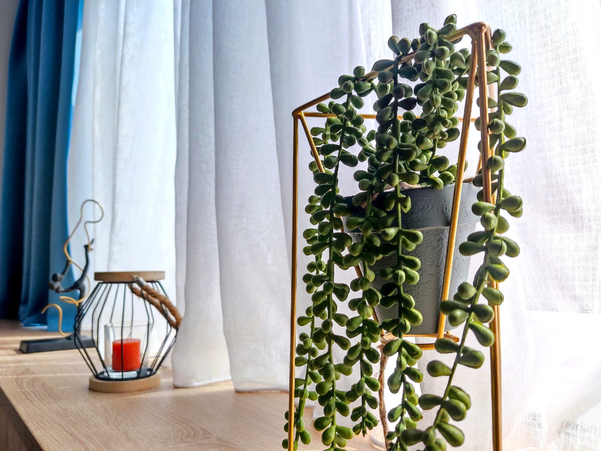 properties-BUTTERFIND-2.jpg