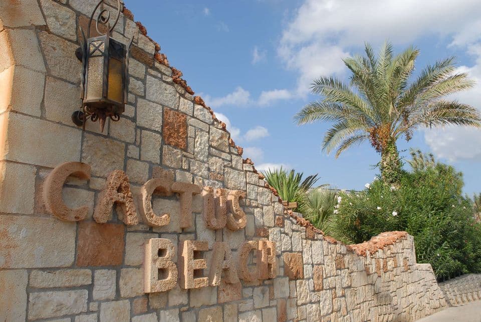 properties-CACTUSB-3.jpg
