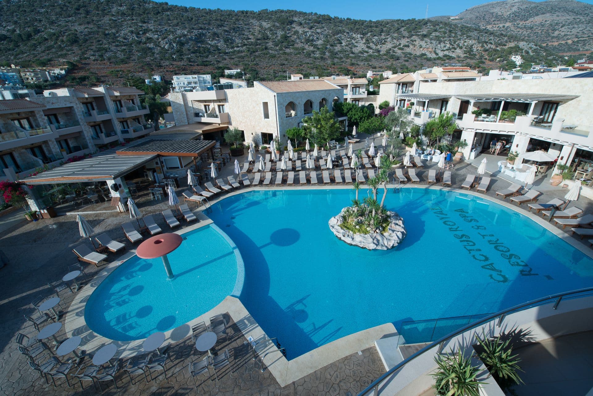 properties-CACTUSR-1.jpg