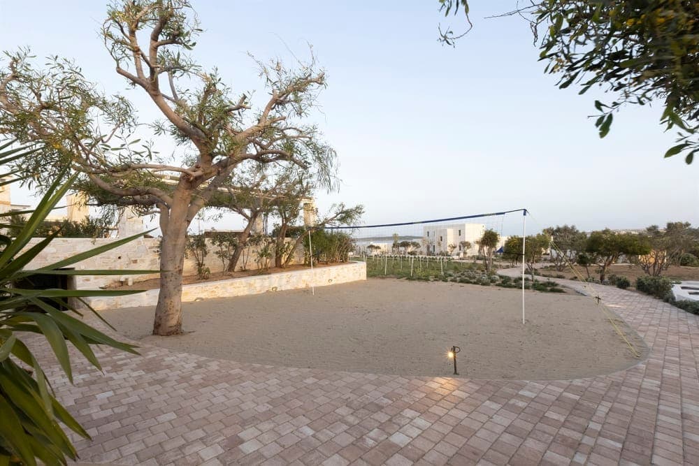 properties-CAELIA-1.jpg