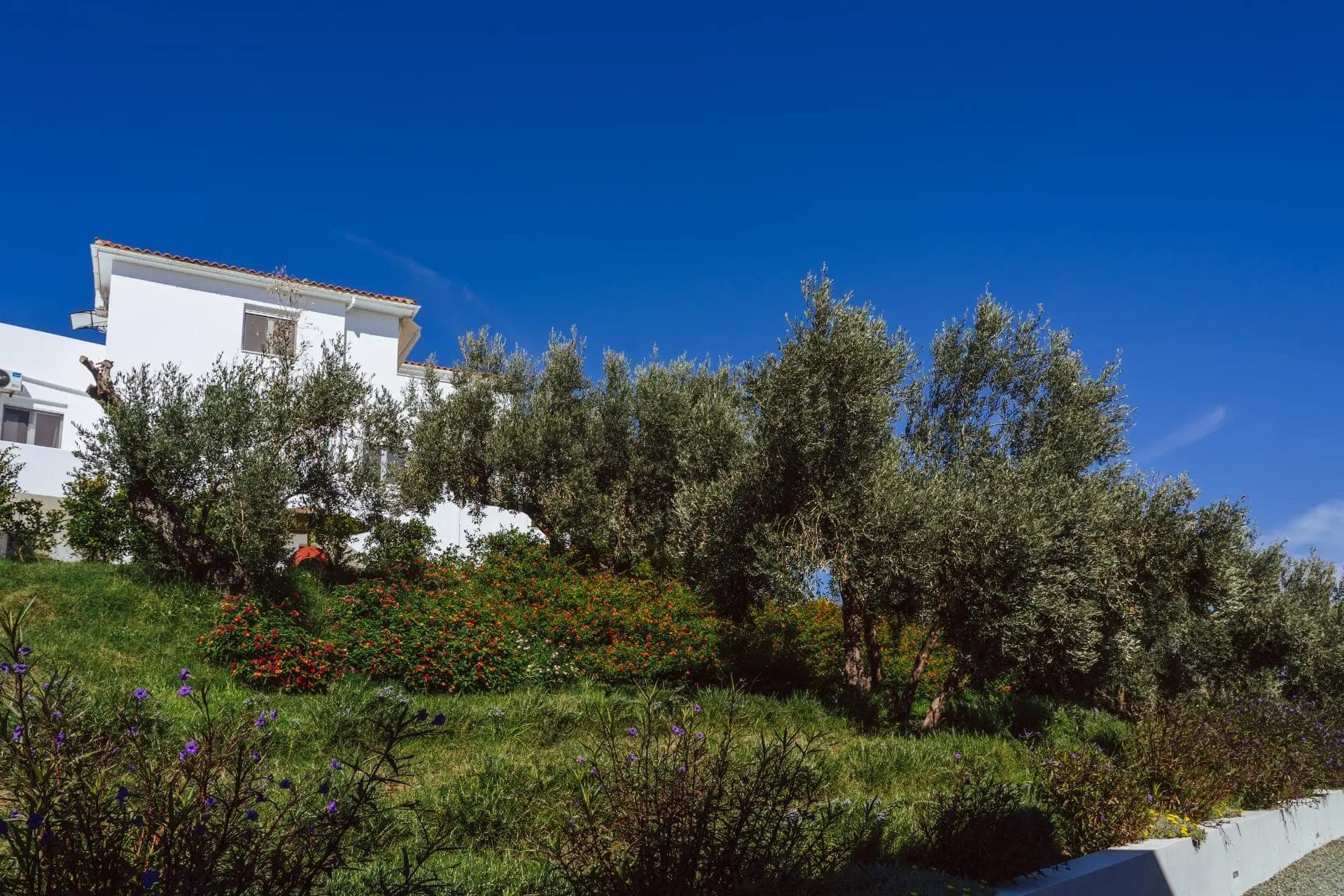 properties-CAPEBLUE-3.jpg