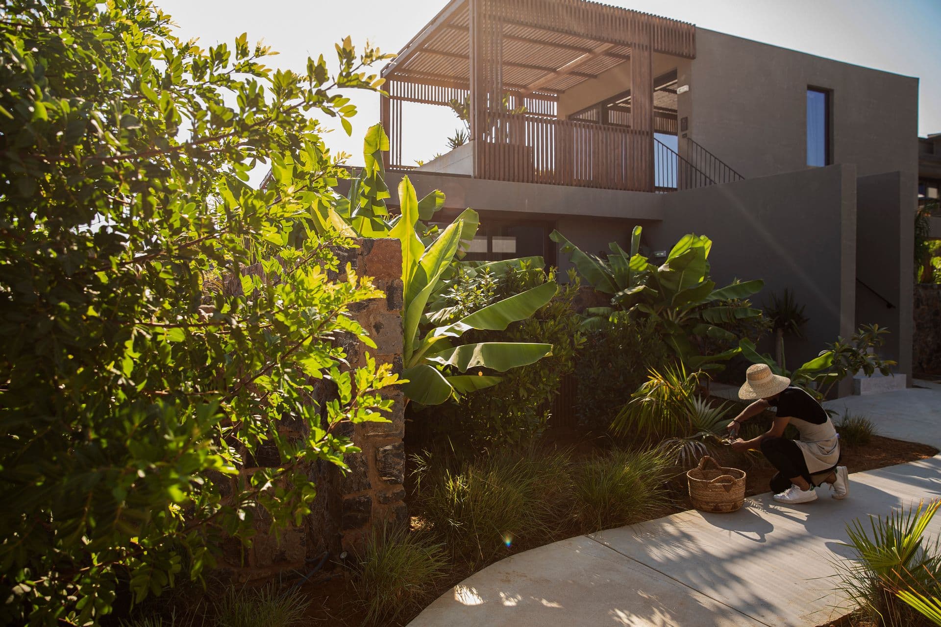 properties-CASACOOKCH-4.jpg