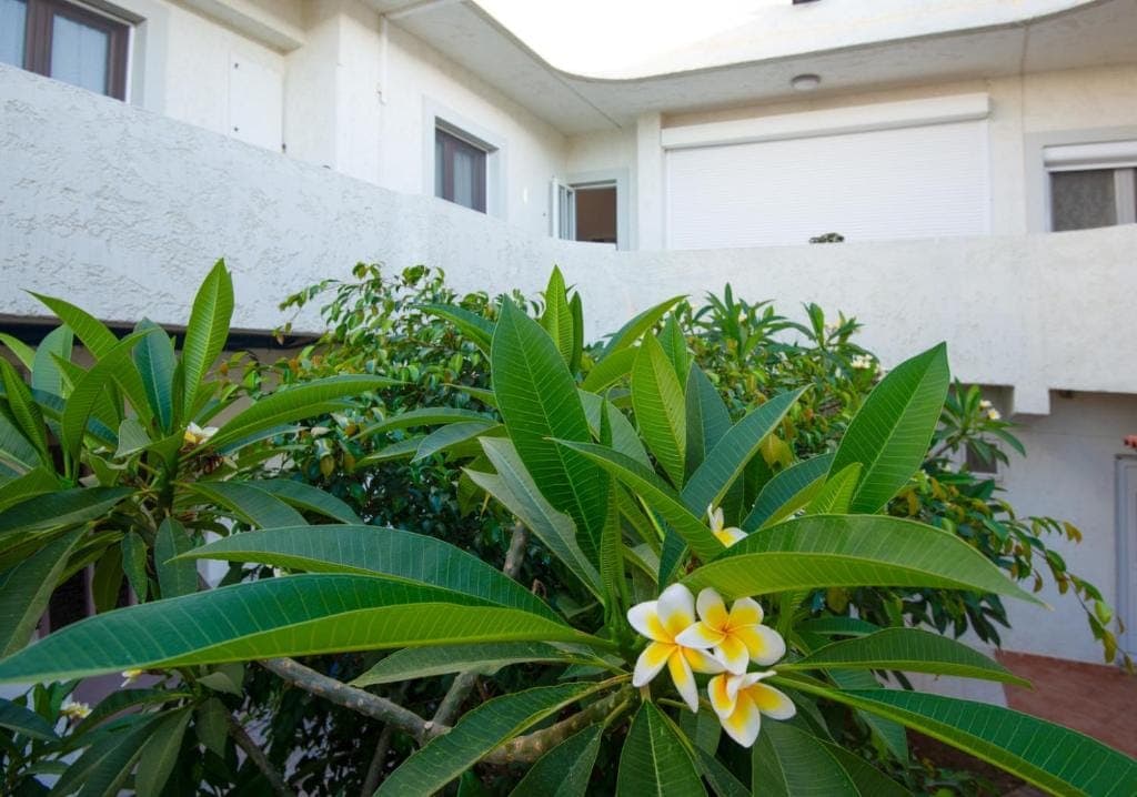 properties-CASANEFELI-2.jpg