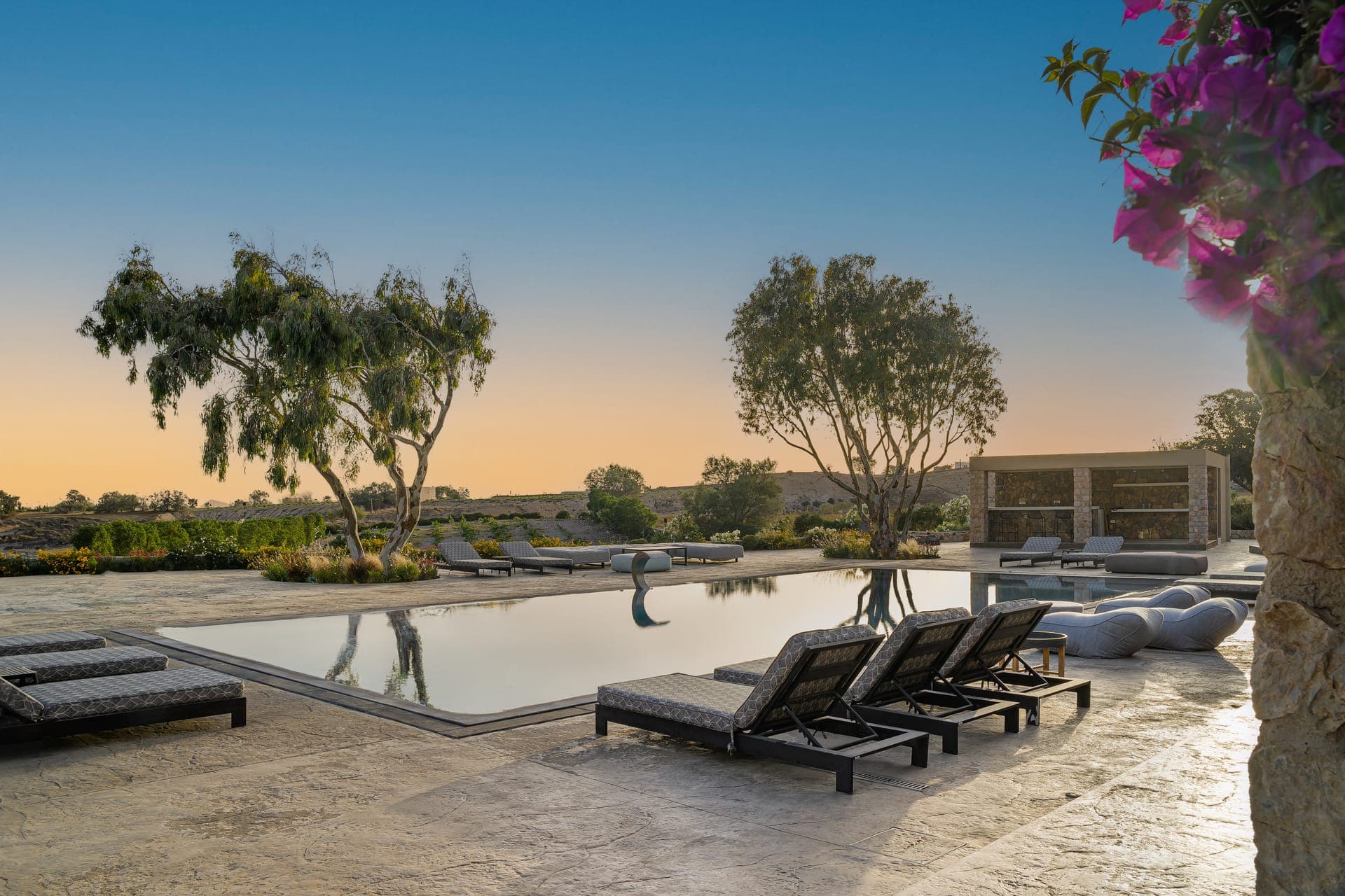 properties-CELLARIA-0.jpg