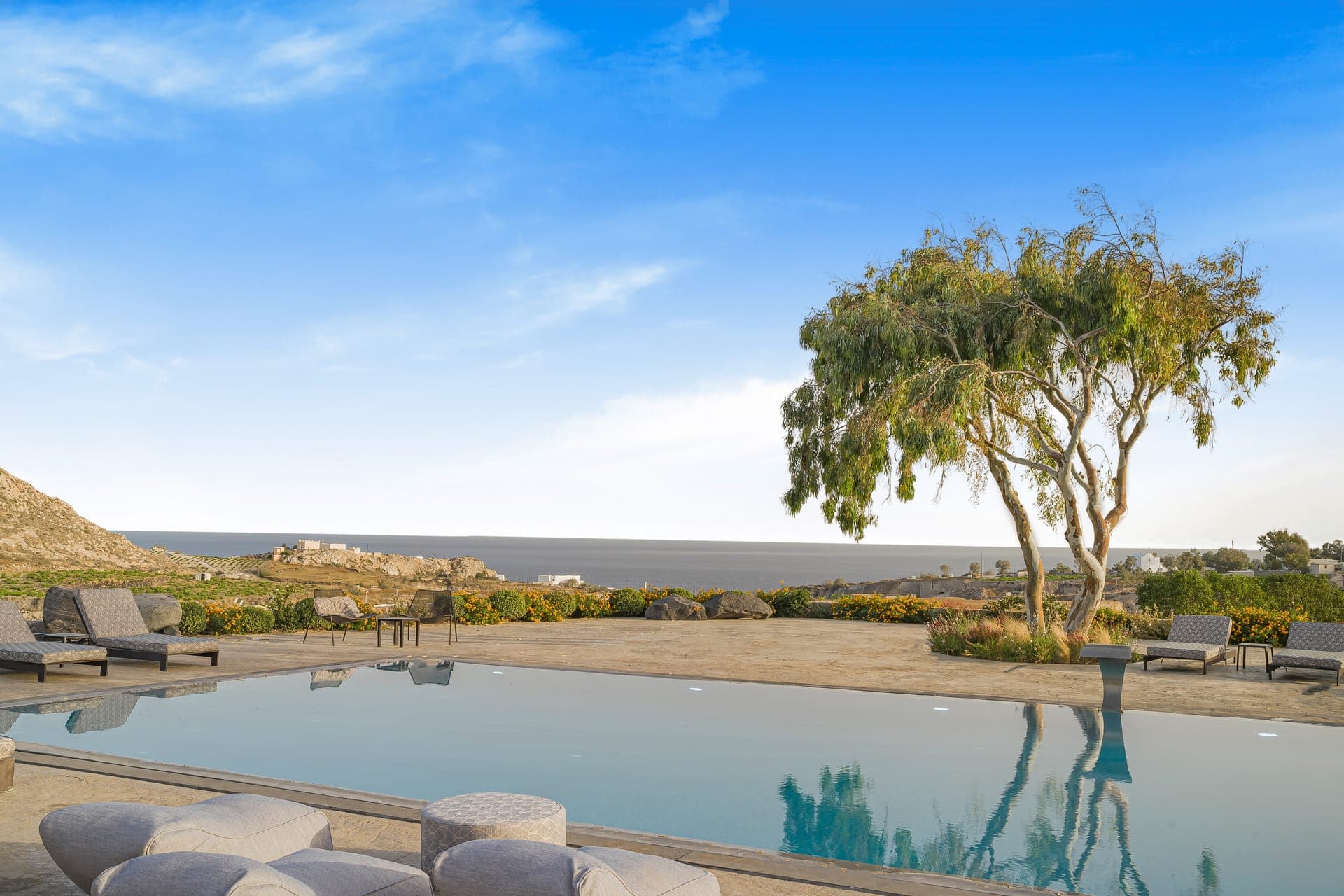 properties-CELLARIA-1.jpg