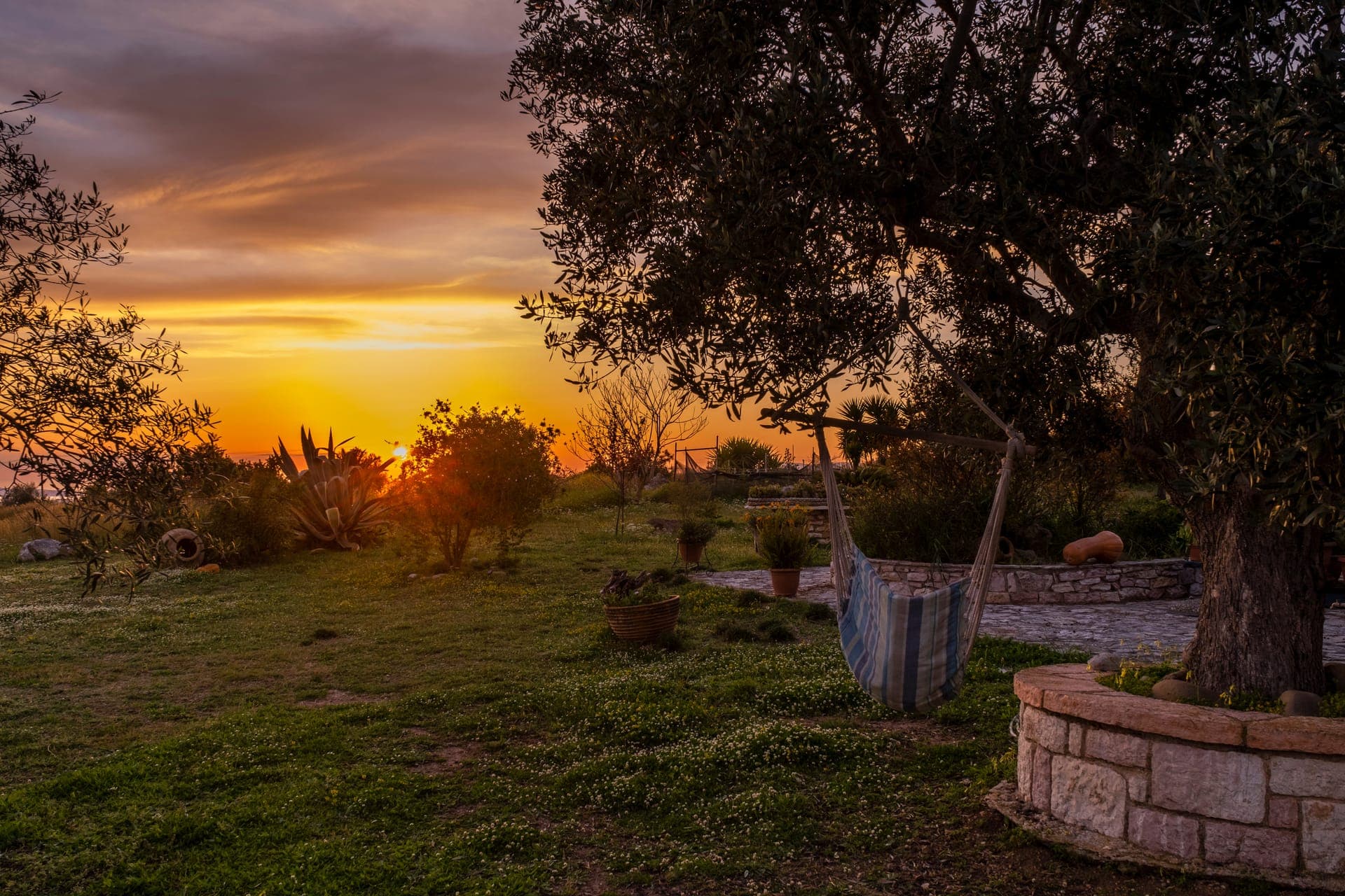 view to the garden sunset