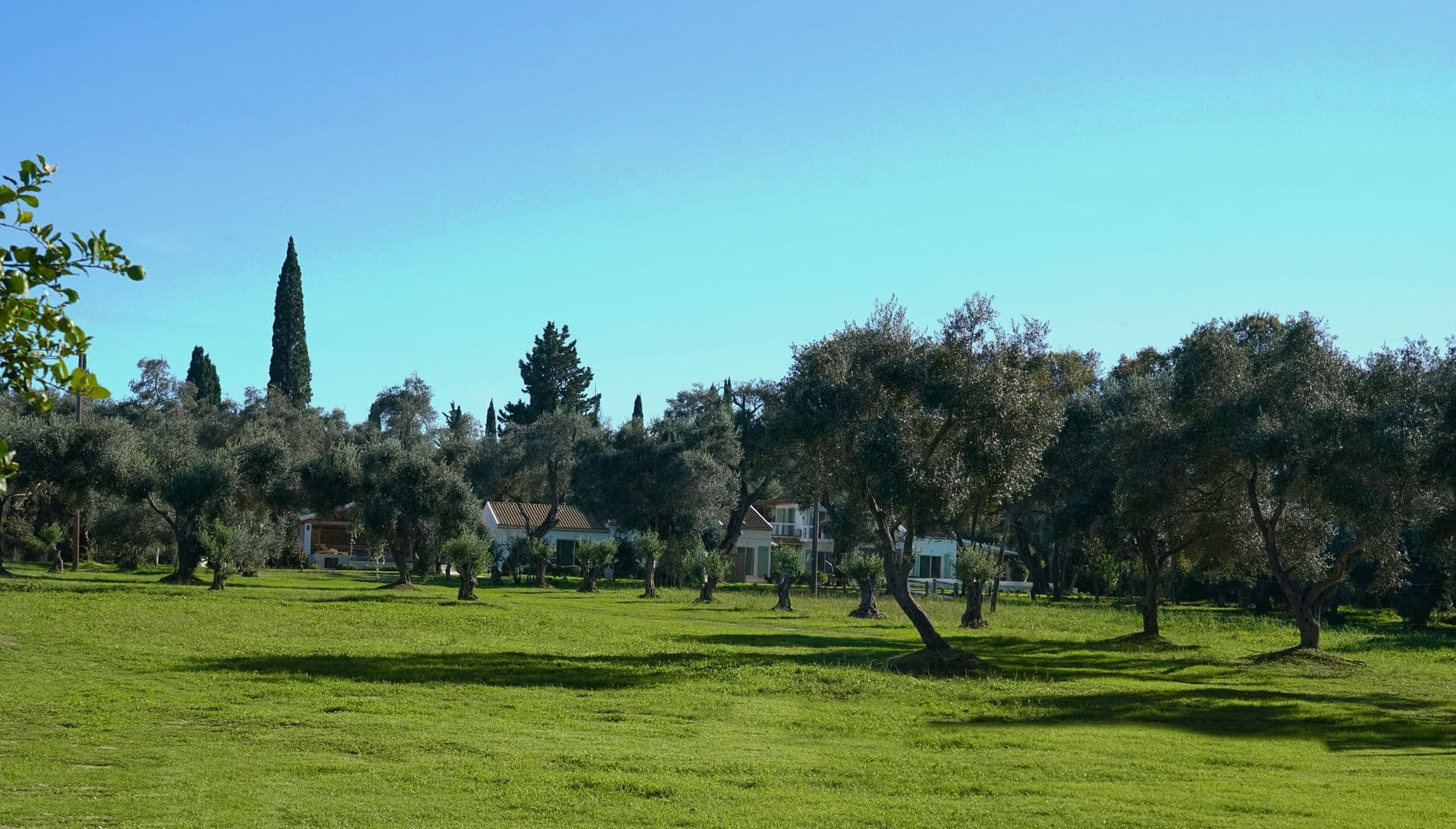 properties-CORFNATURA-3.jpg