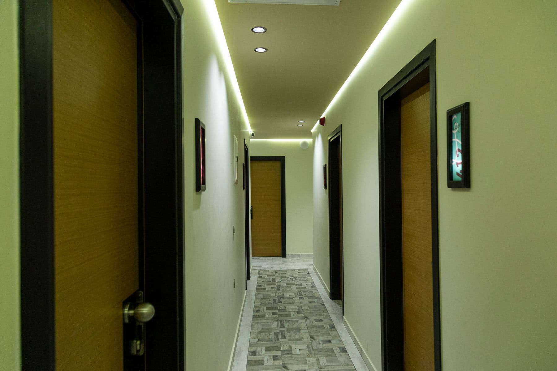 properties-DAFNIPLUS-2.jpg