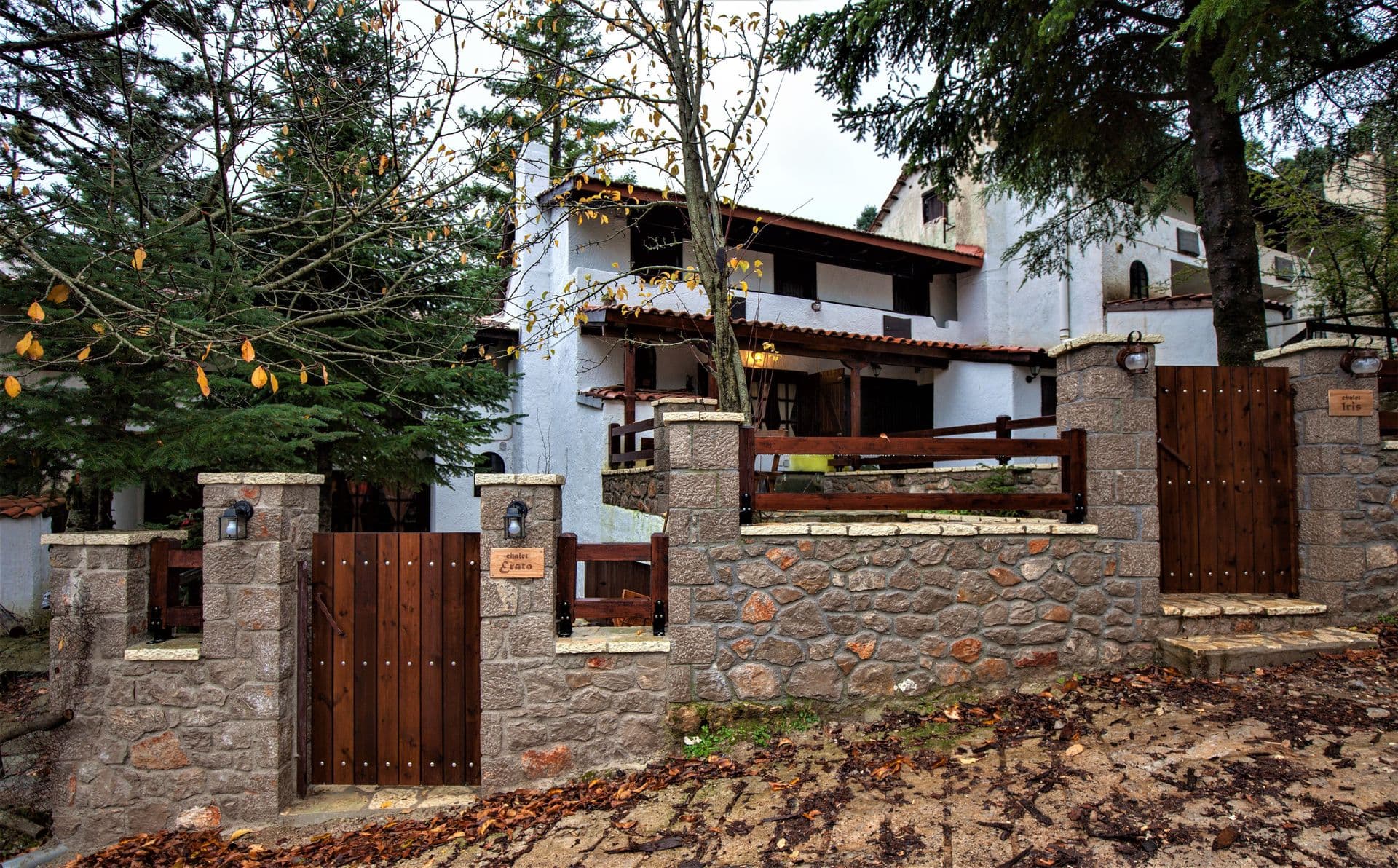 properties-DANDYAGO-0.jpg