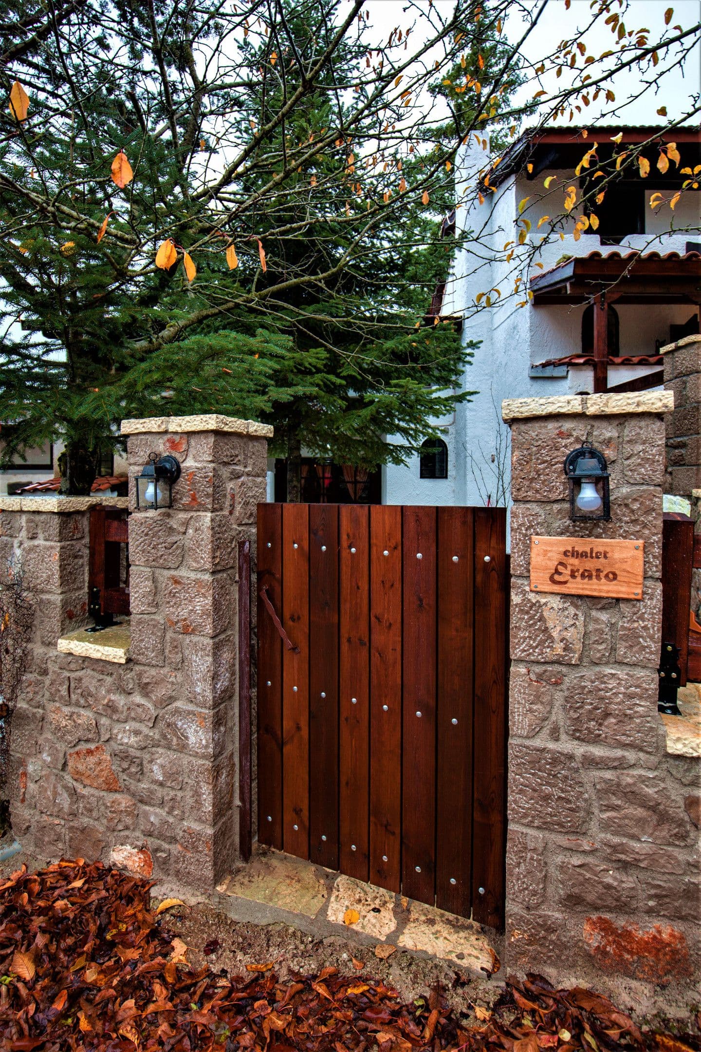 properties-DANDYAGO-1.jpg