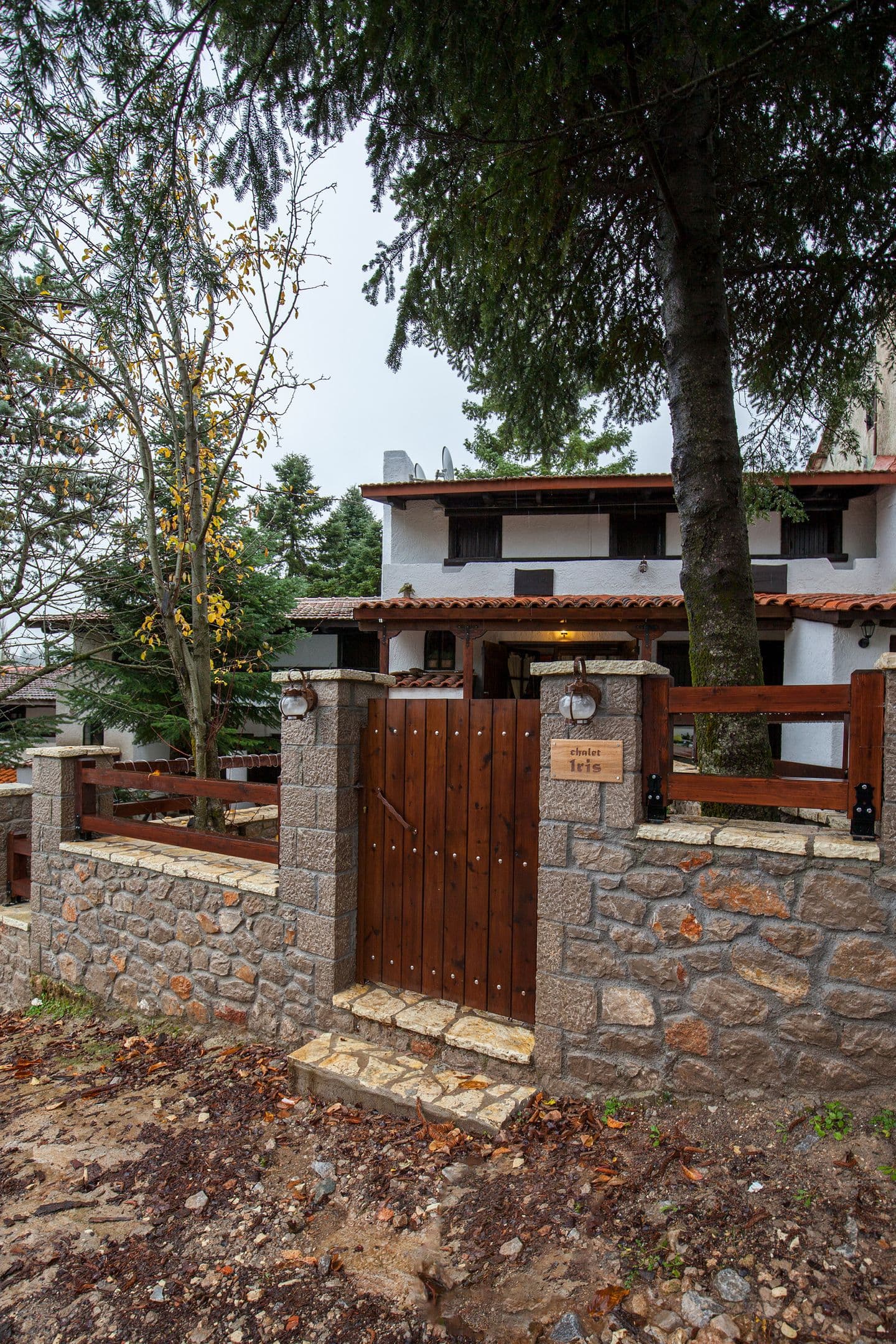 properties-DANDYAGO-3.jpg