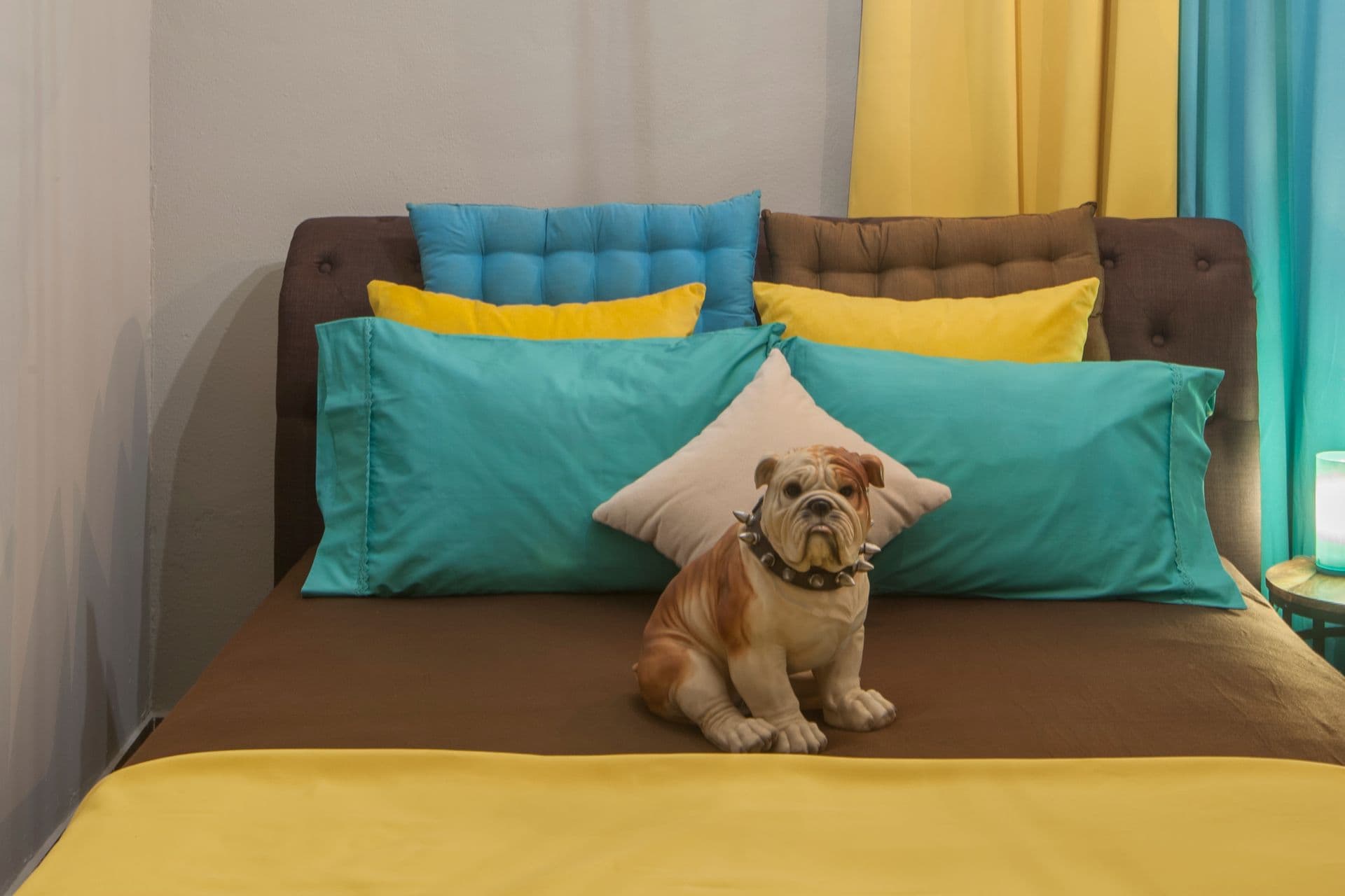 properties-DANDYPELLA-1.jpg