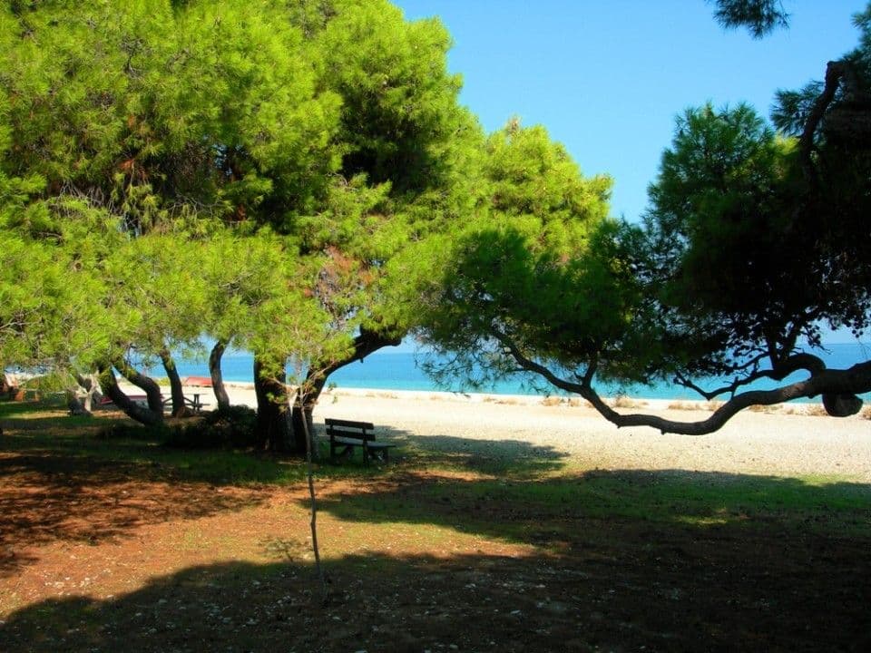 properties-DAPHNE-3.jpg