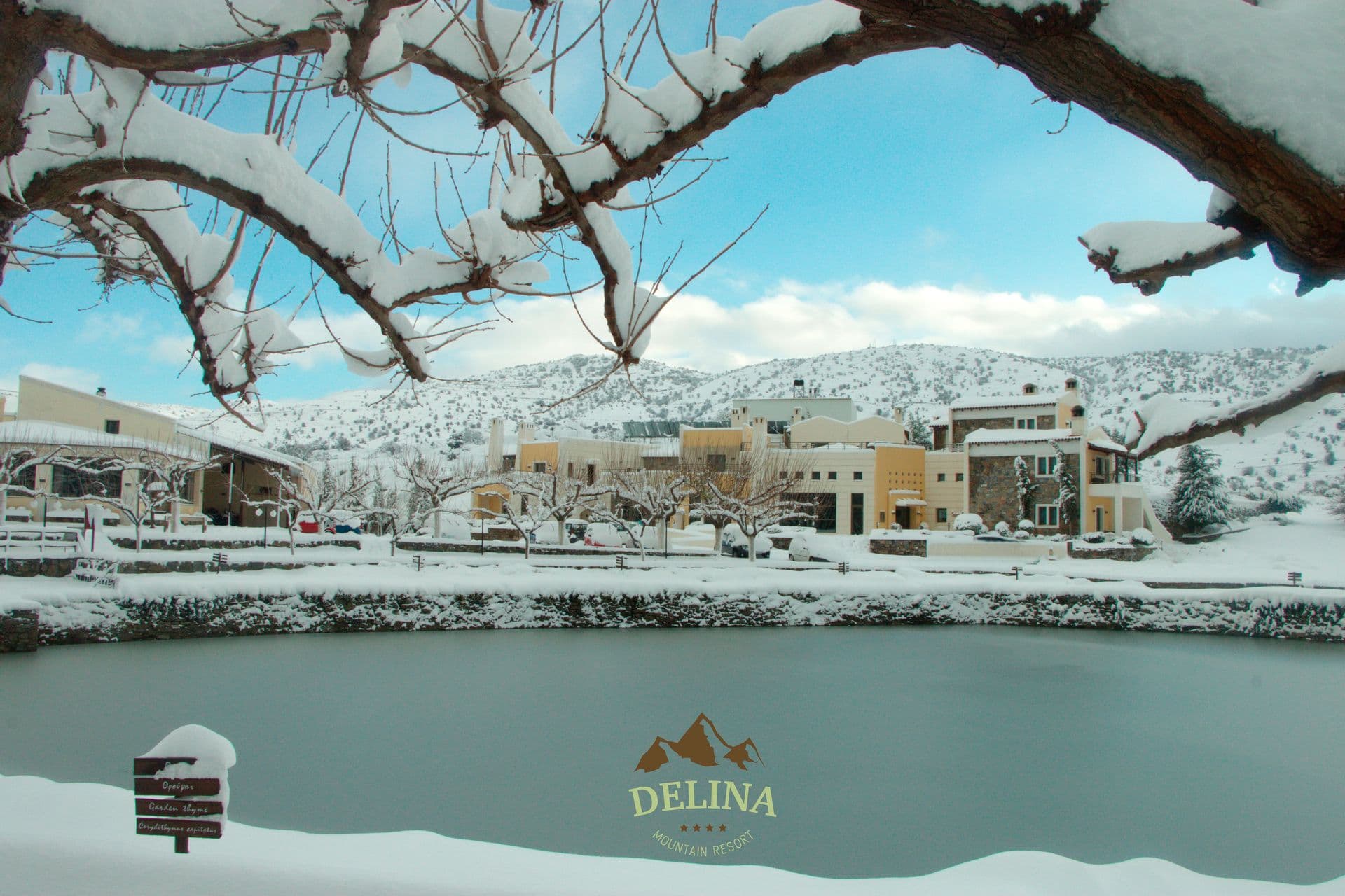 properties-DELINA-2.jpg
