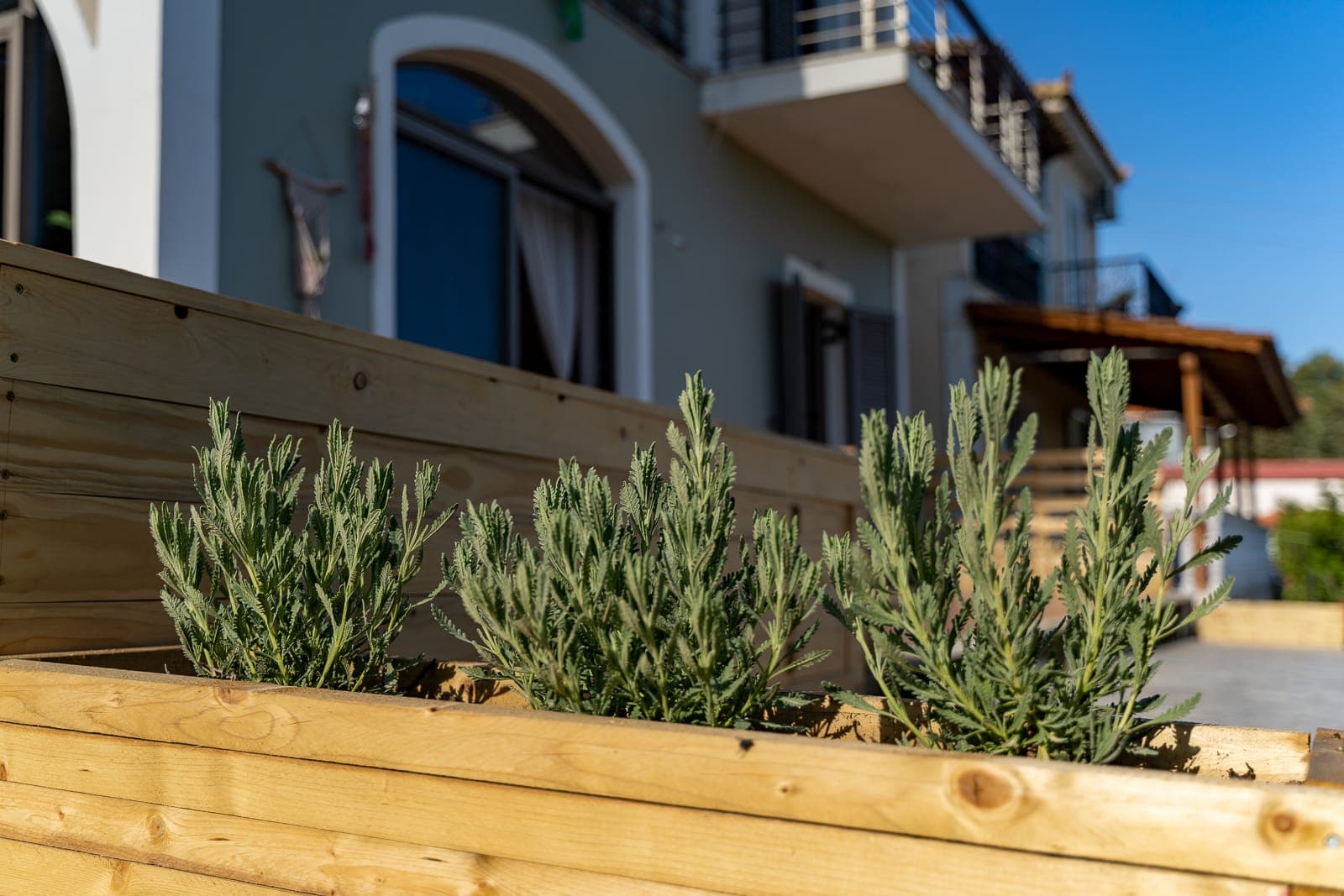 properties-DRIFTWOOD-1.jpg