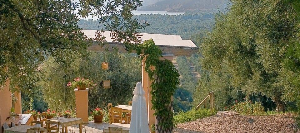 properties-ELEONASAA-4.jpg