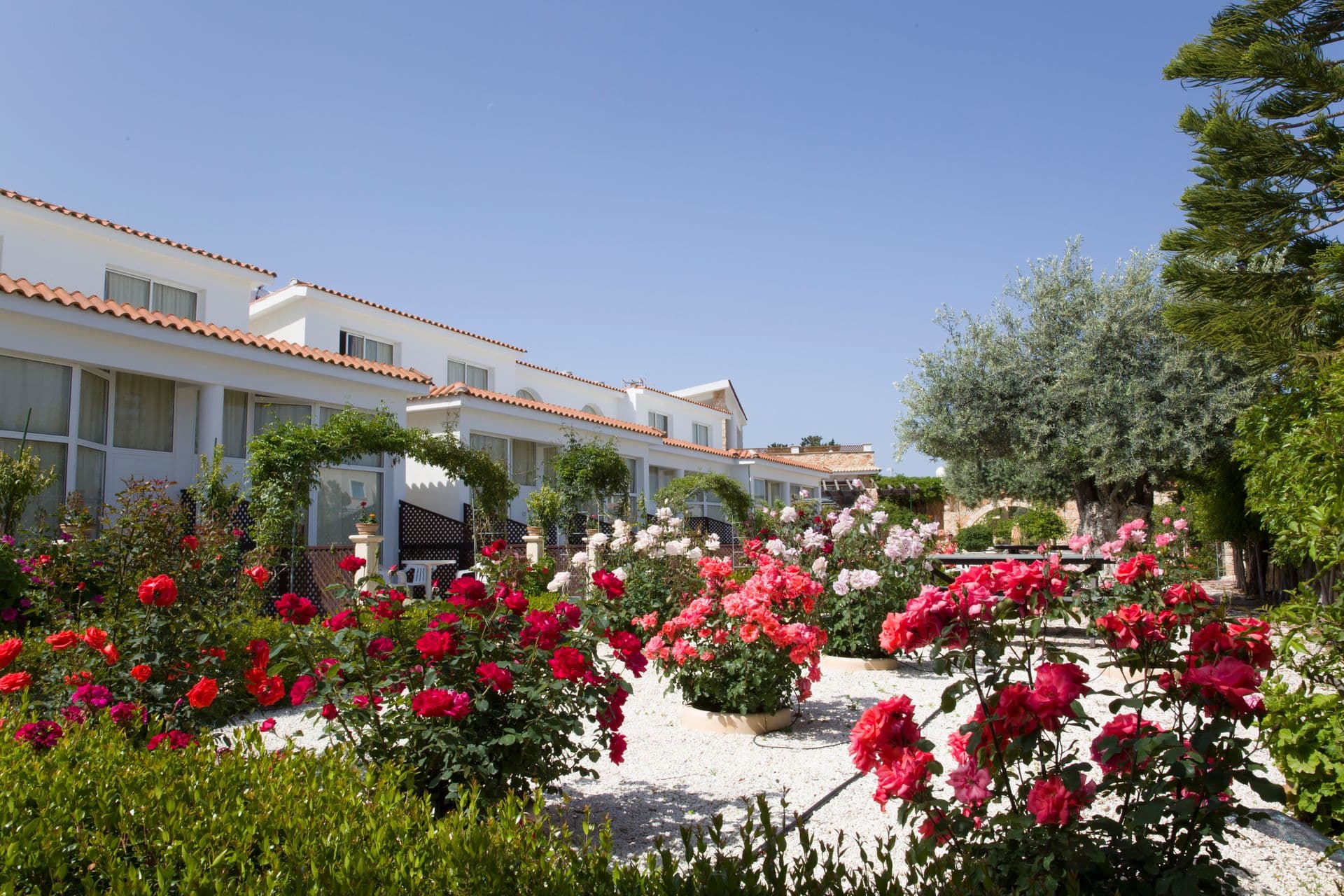 properties-ELIOFOS-0.jpg