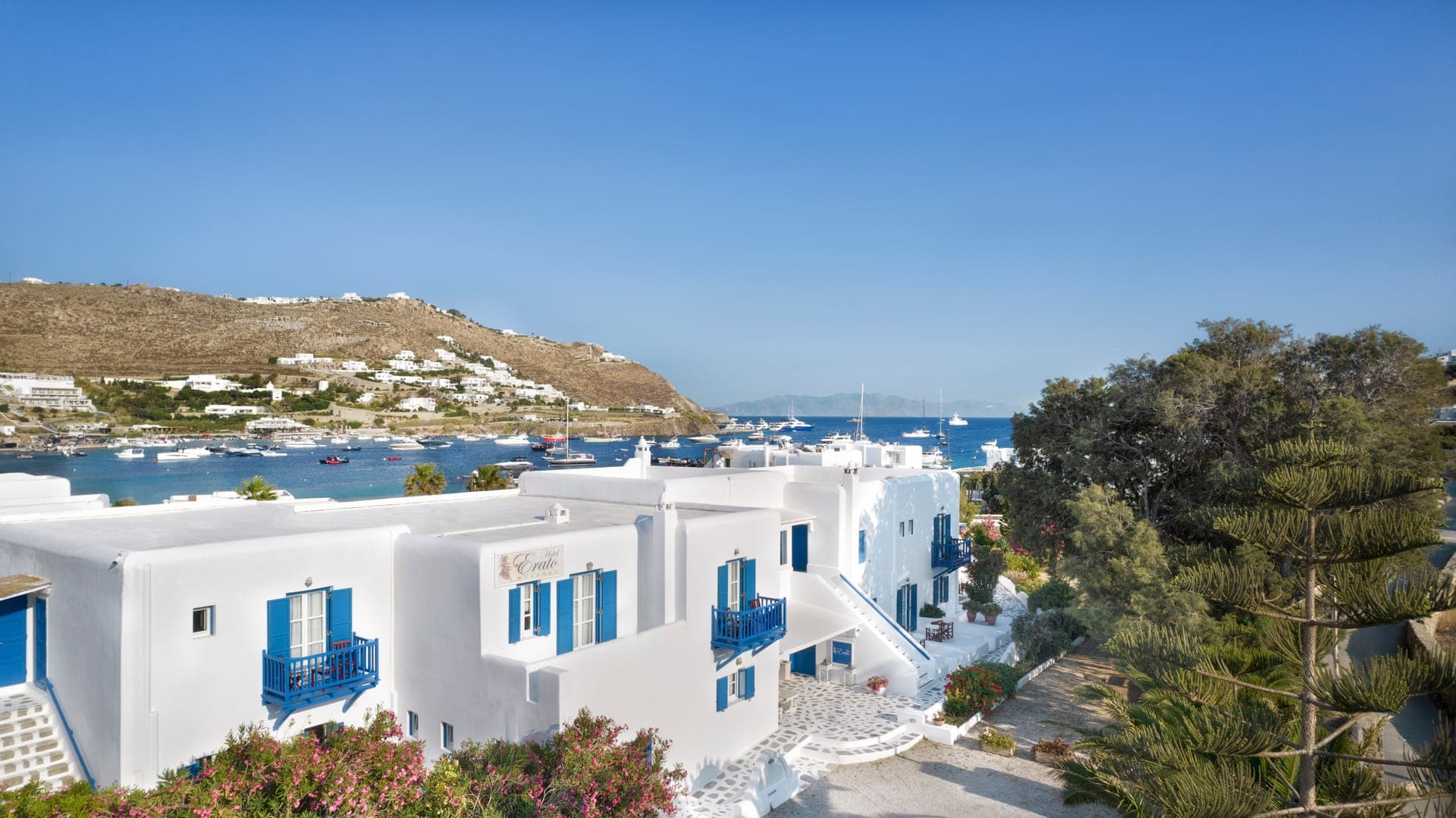 properties-ERATO-2.jpg