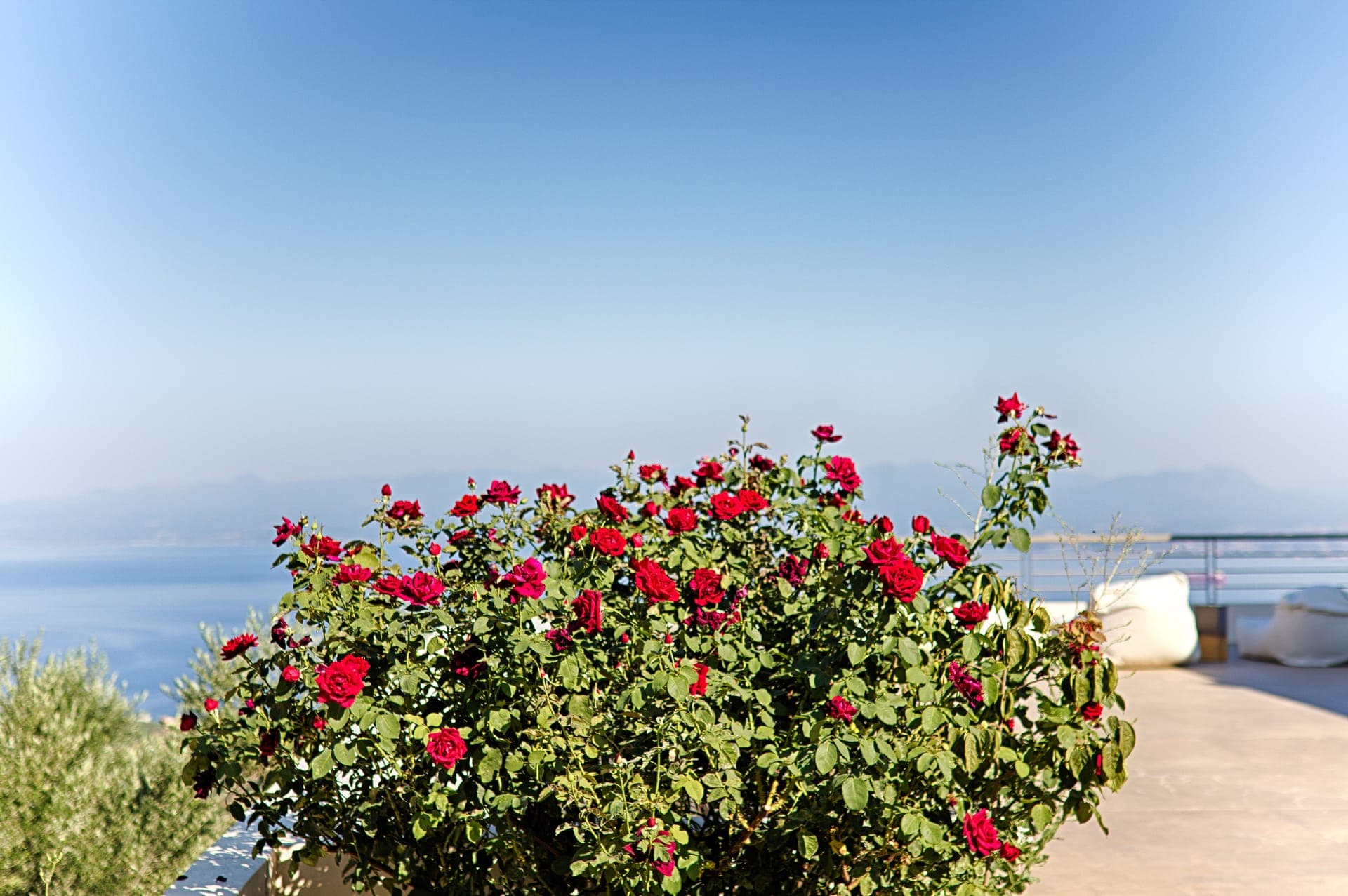properties-EUPHORIAMN-1.jpg