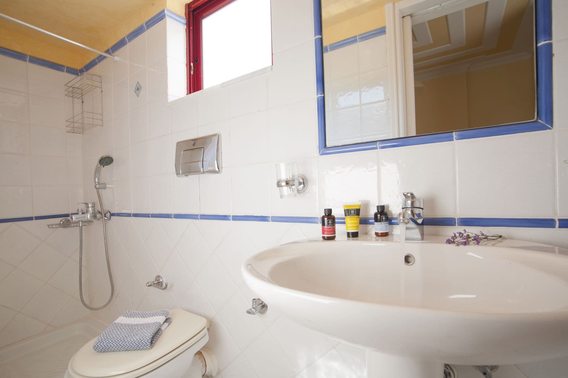 properties-EXANTHIA-2.jpg