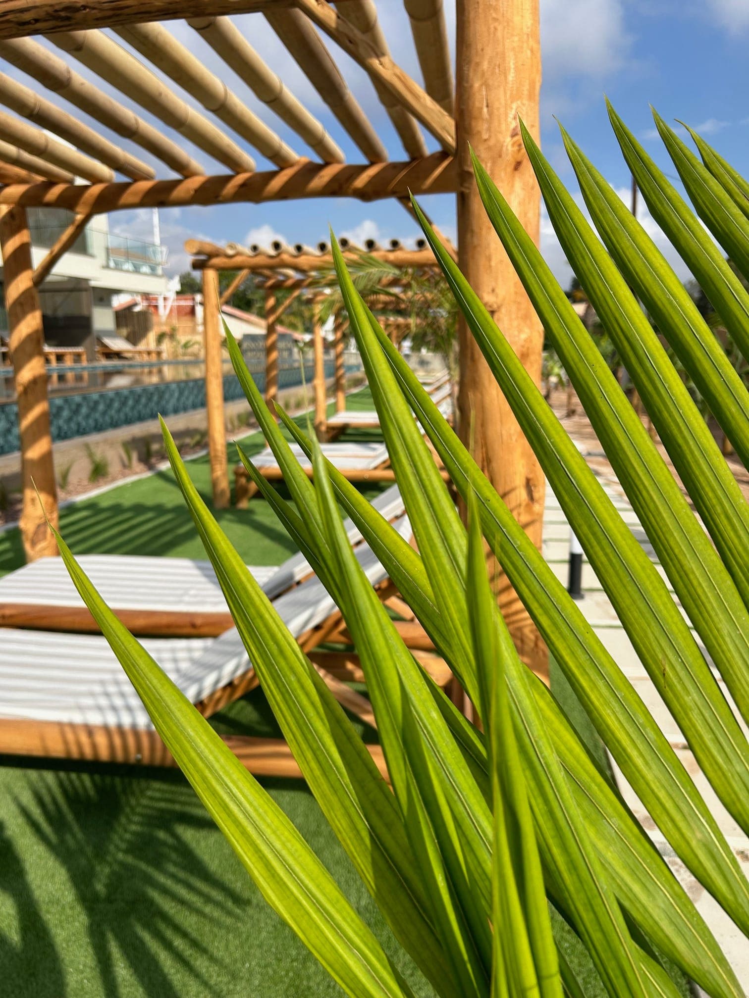 properties-EXOTICSEA-3.jpg