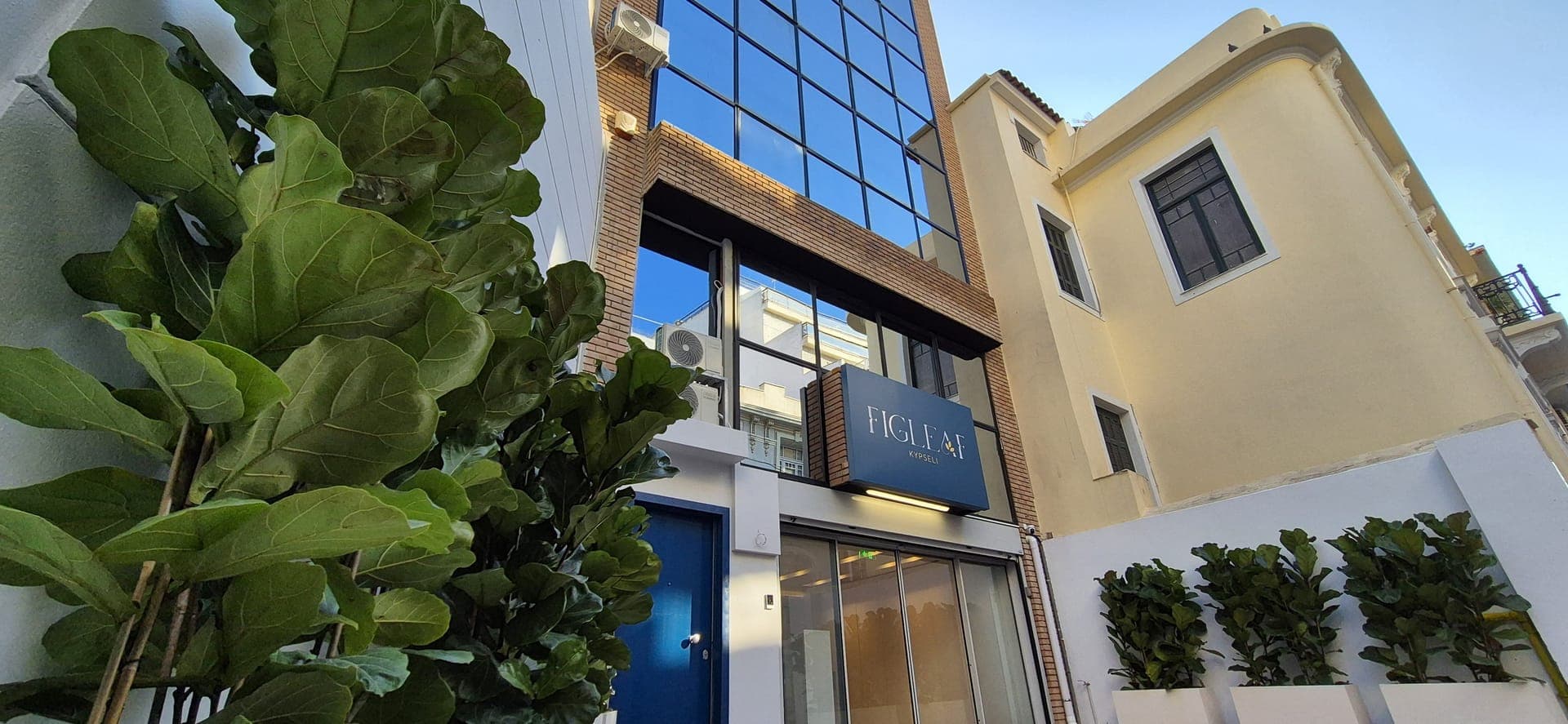 properties-FIGLEAF-3.jpg