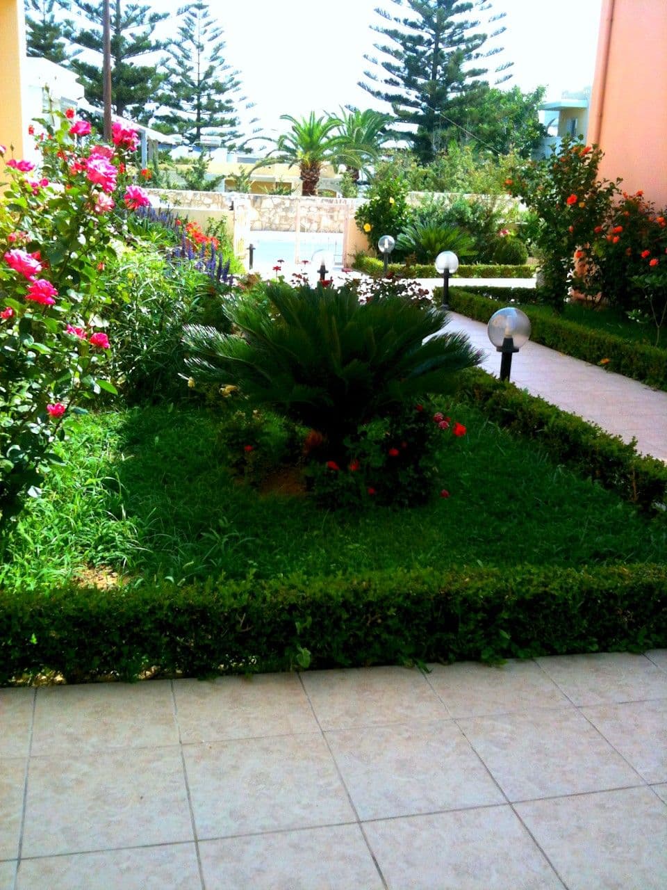 properties-GOLDROSE-4.jpg