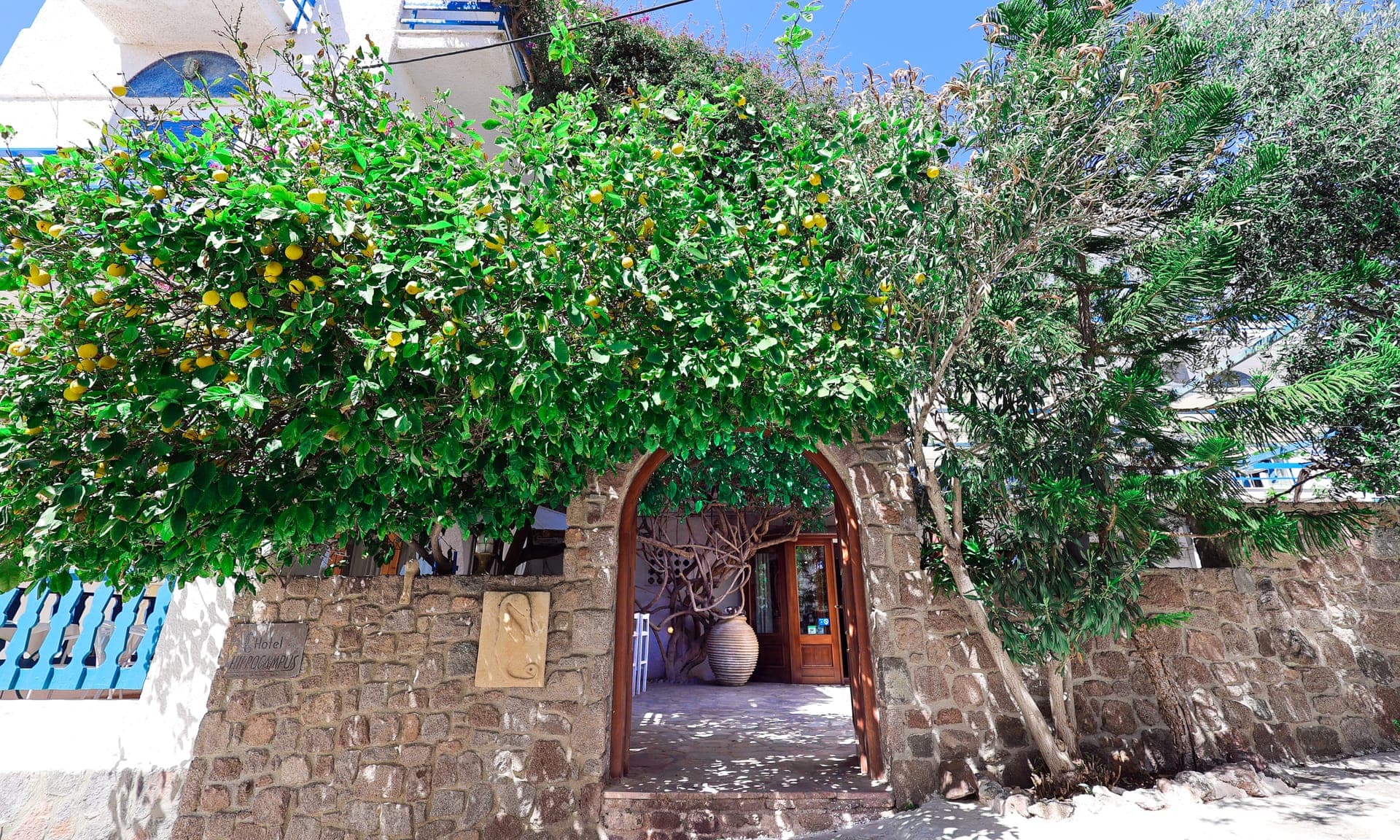 properties-HTLHIPPOC-1.jpg