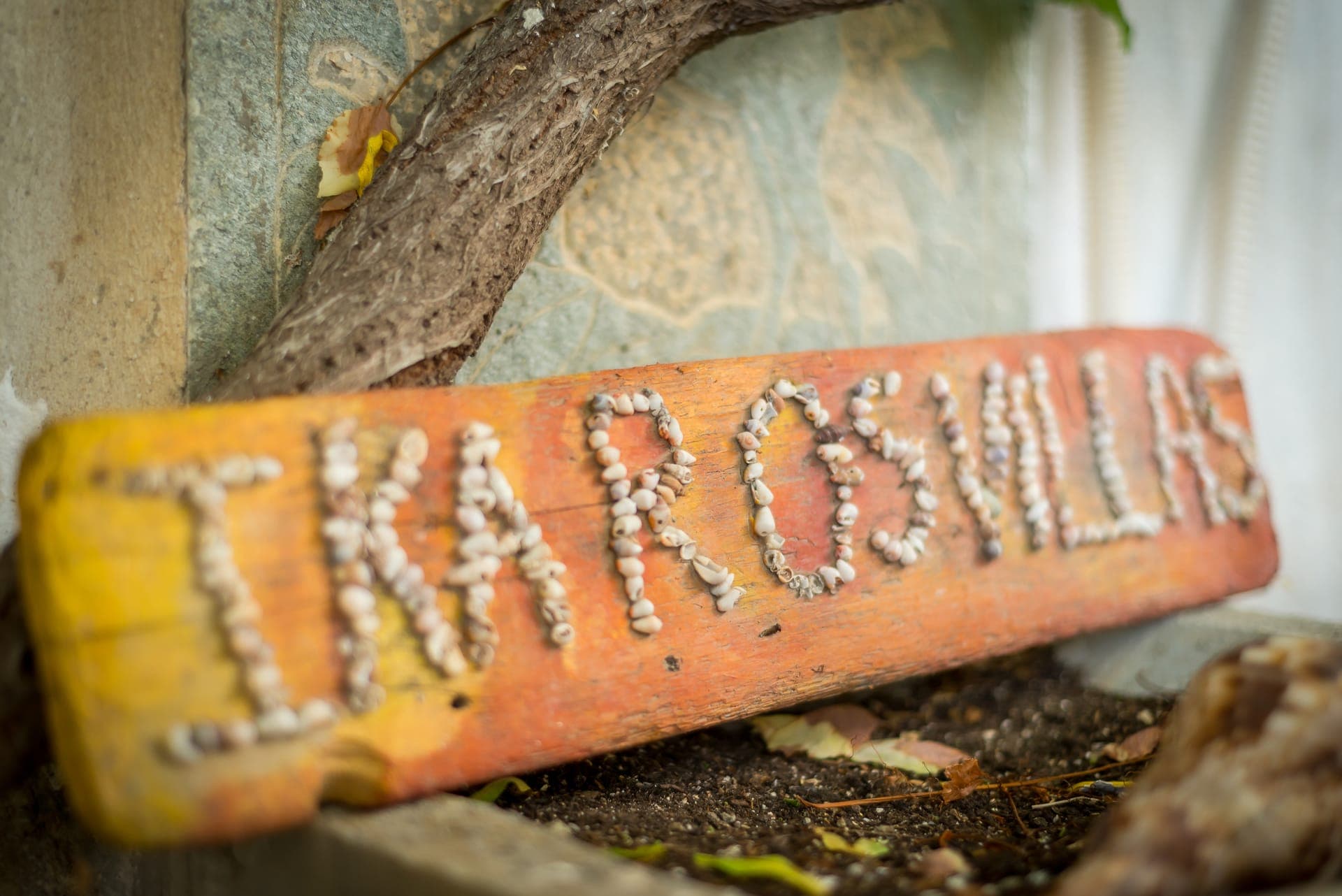 properties-IKARDAID-3.jpg