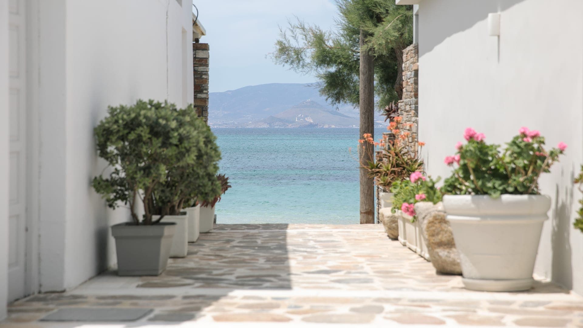 properties-IRBEJNX-2.jpg