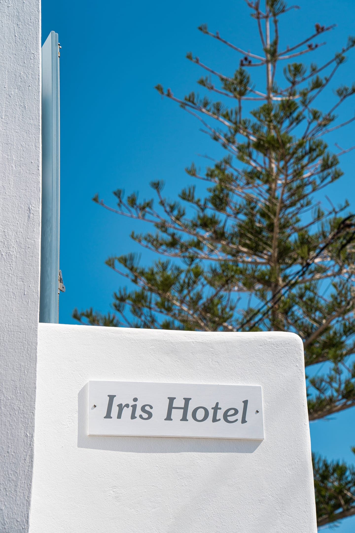 properties-IRISHOTELP-3.jpg